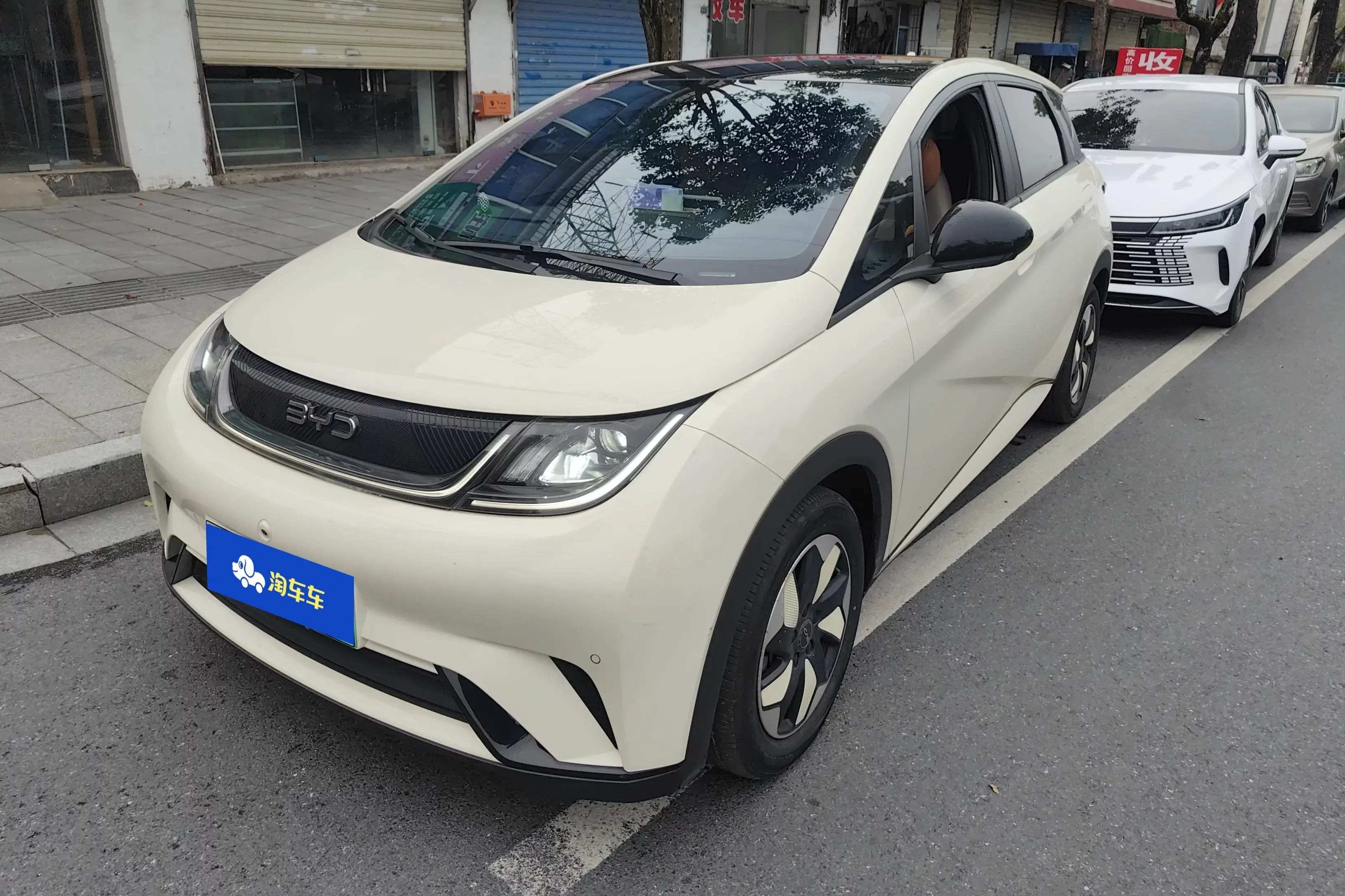 BYD dolphin