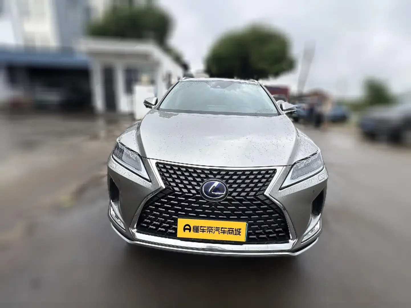 Lexus RX