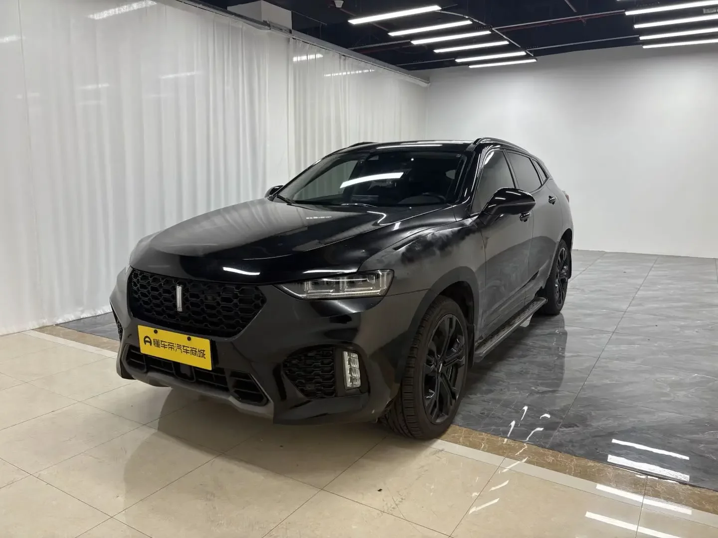Wey Wei brand VV7