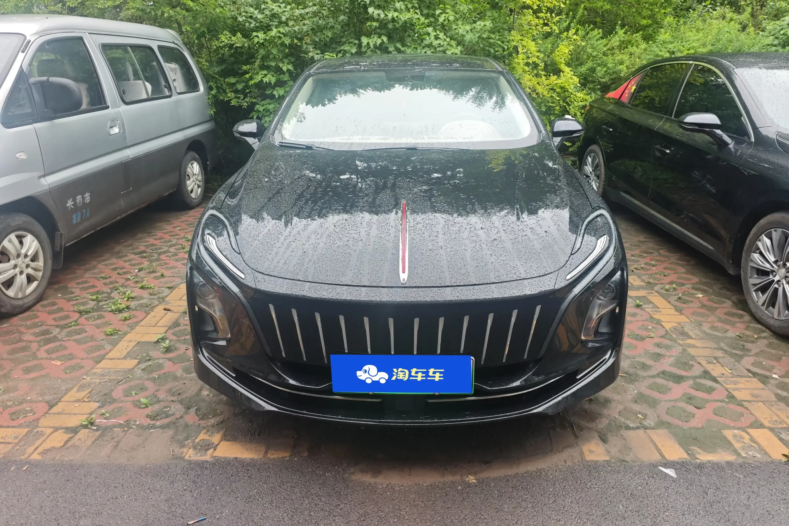 Hongqi E-QM5  из Китая