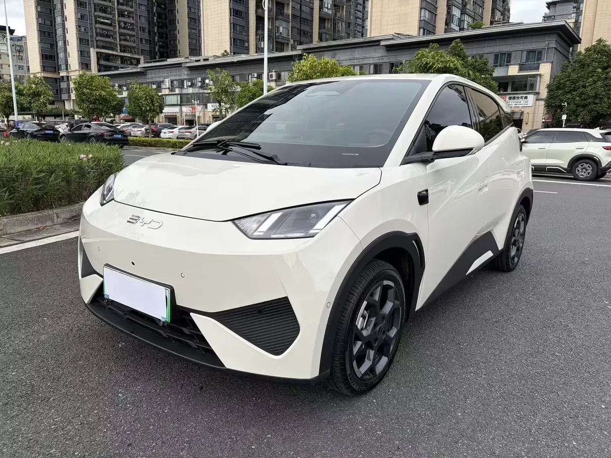 BYD seagull