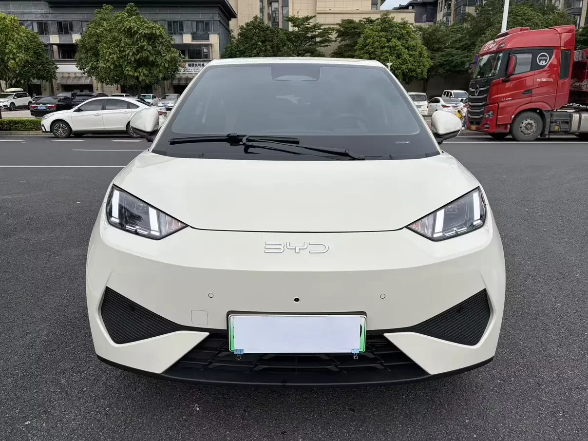 BYD seagull