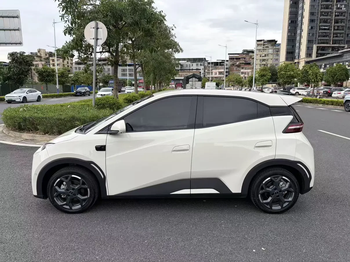 BYD seagull