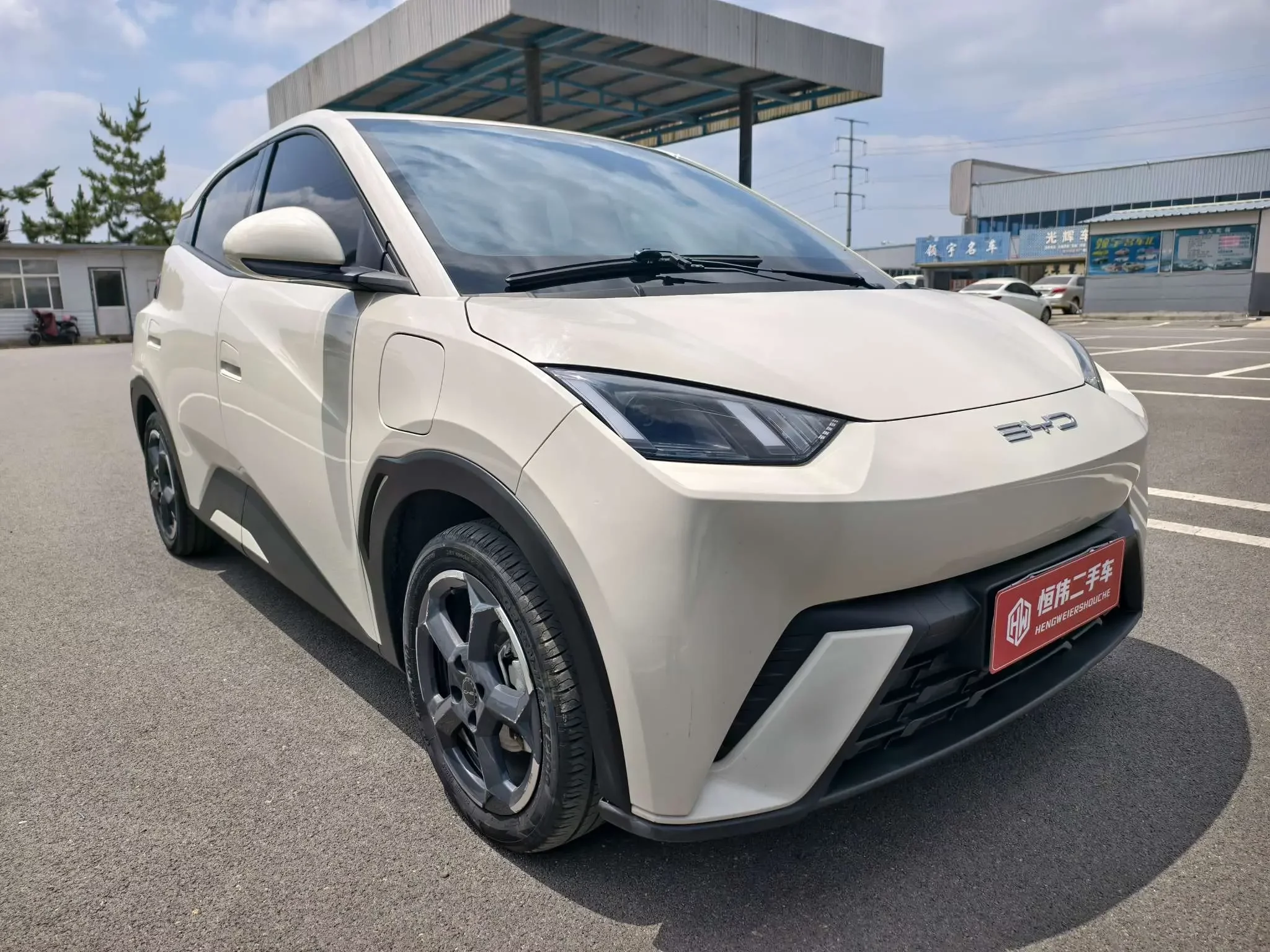 BYD seagull