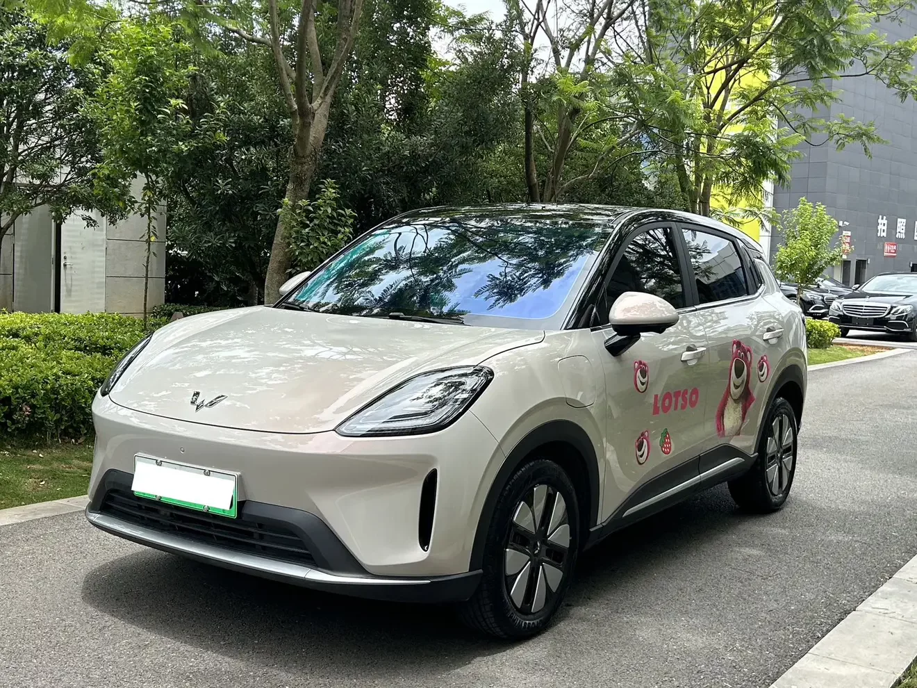 Wuling Bingo S