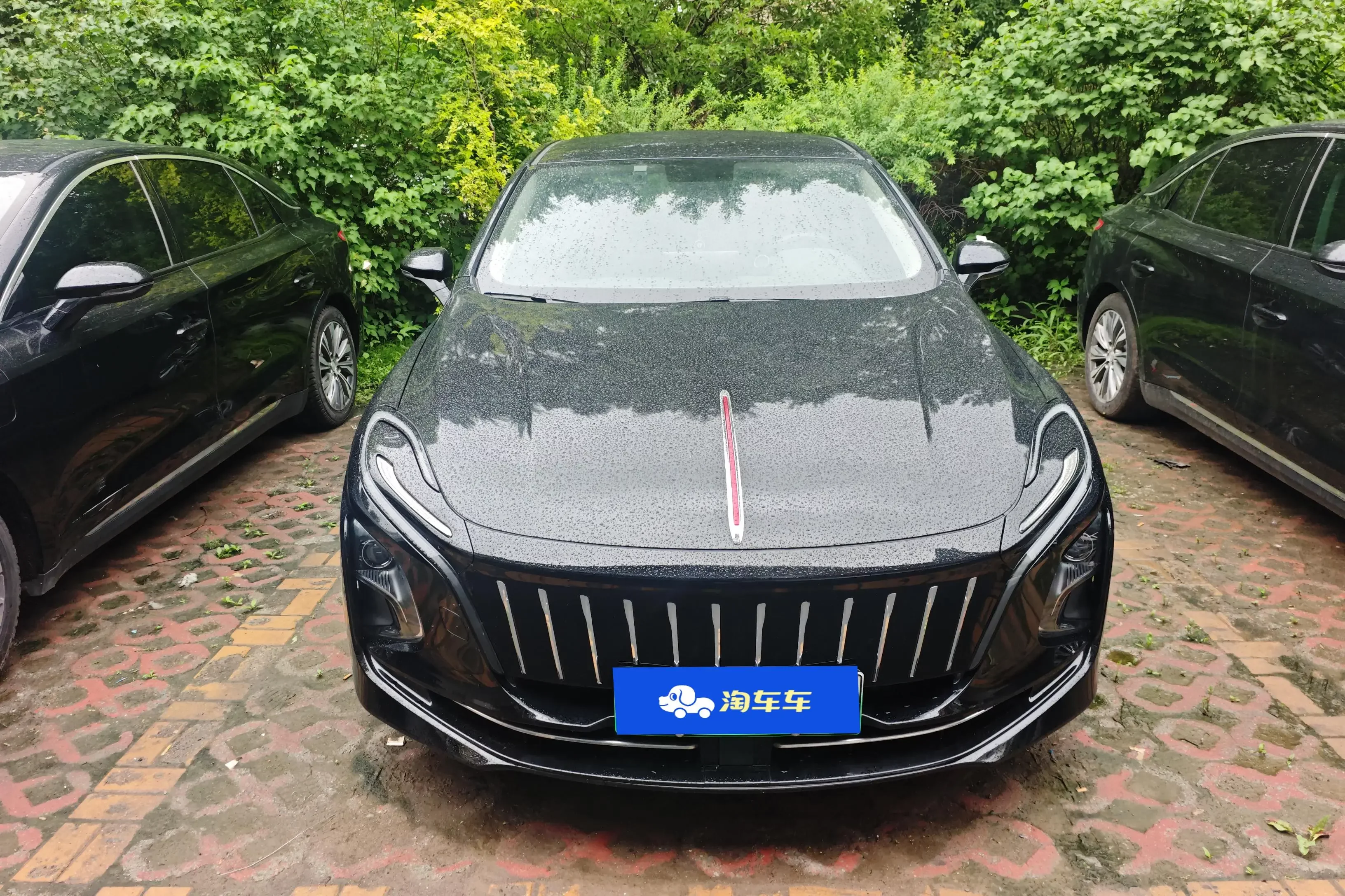 Hongqi E-QM5  из Китая