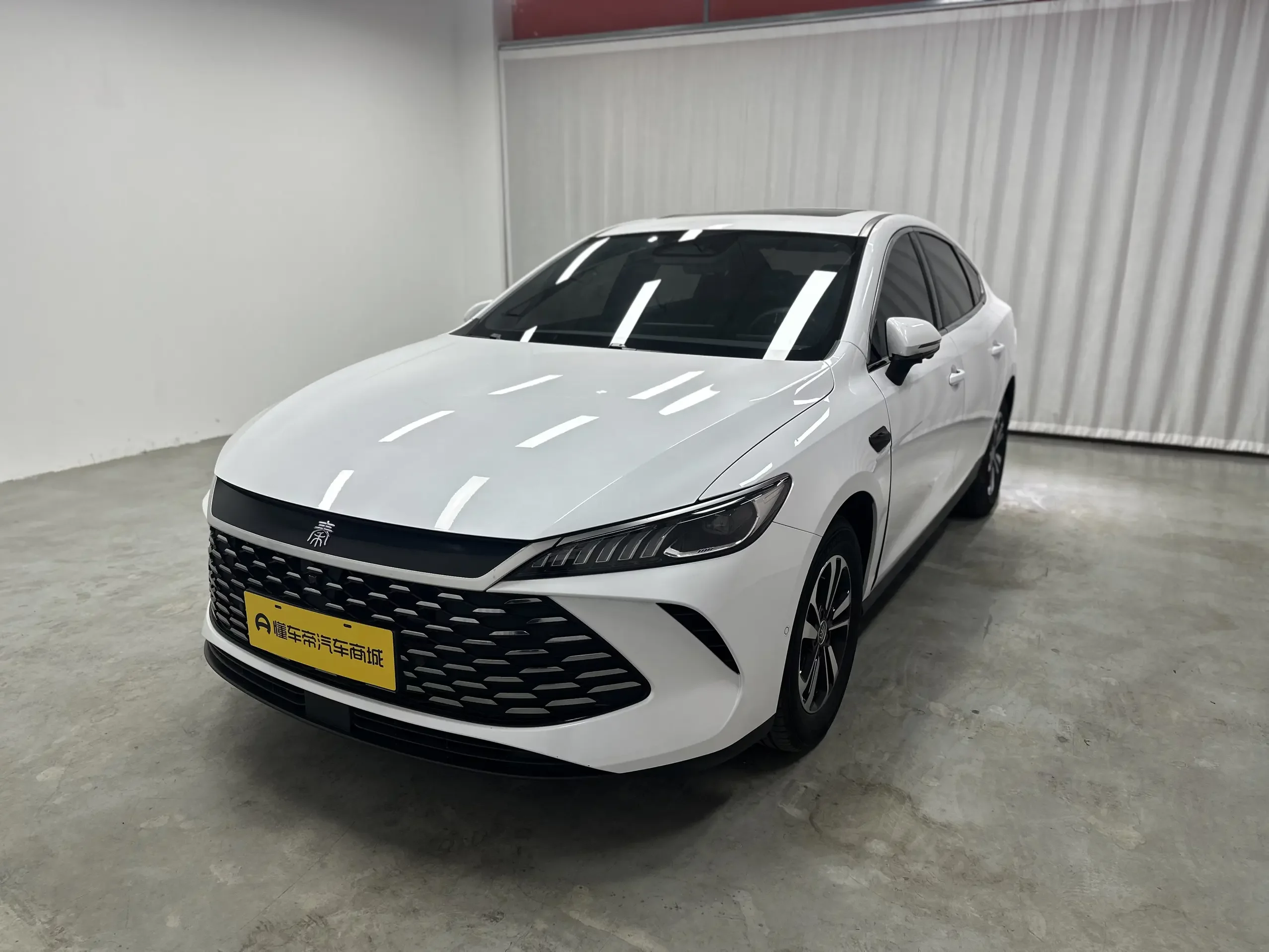 BYD Qin PLUS DM
