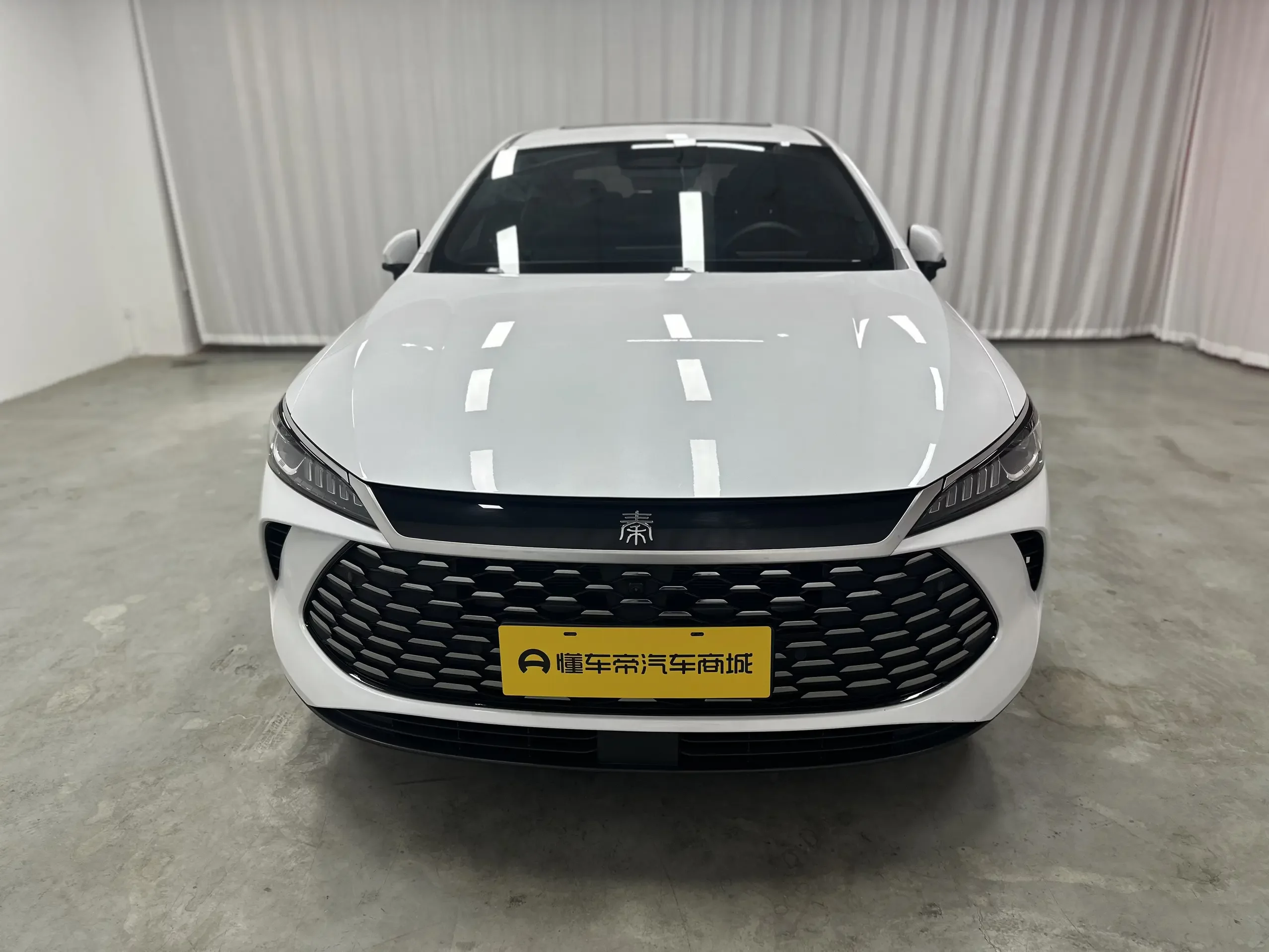 BYD Qin PLUS DM