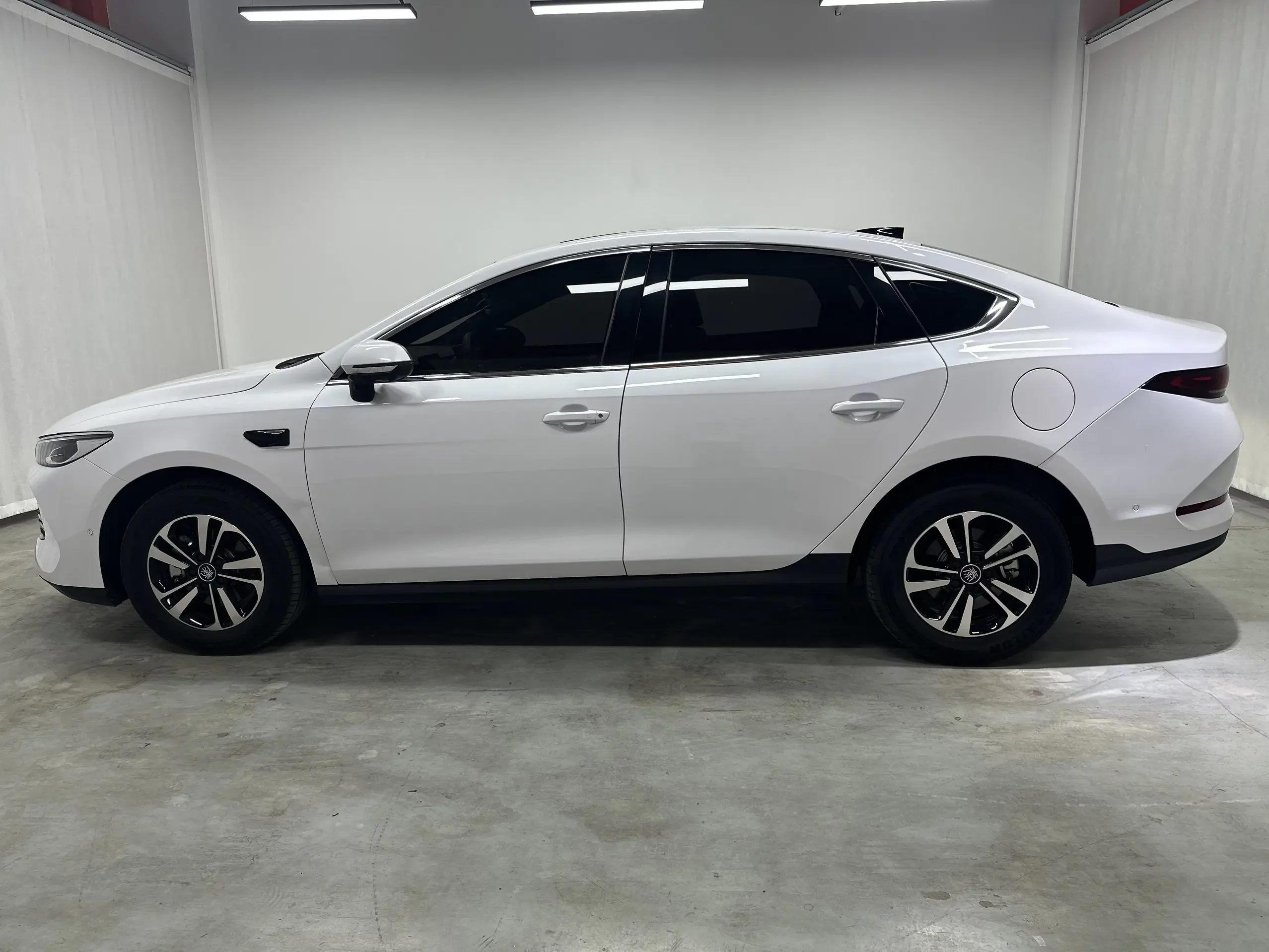 BYD Qin PLUS DM