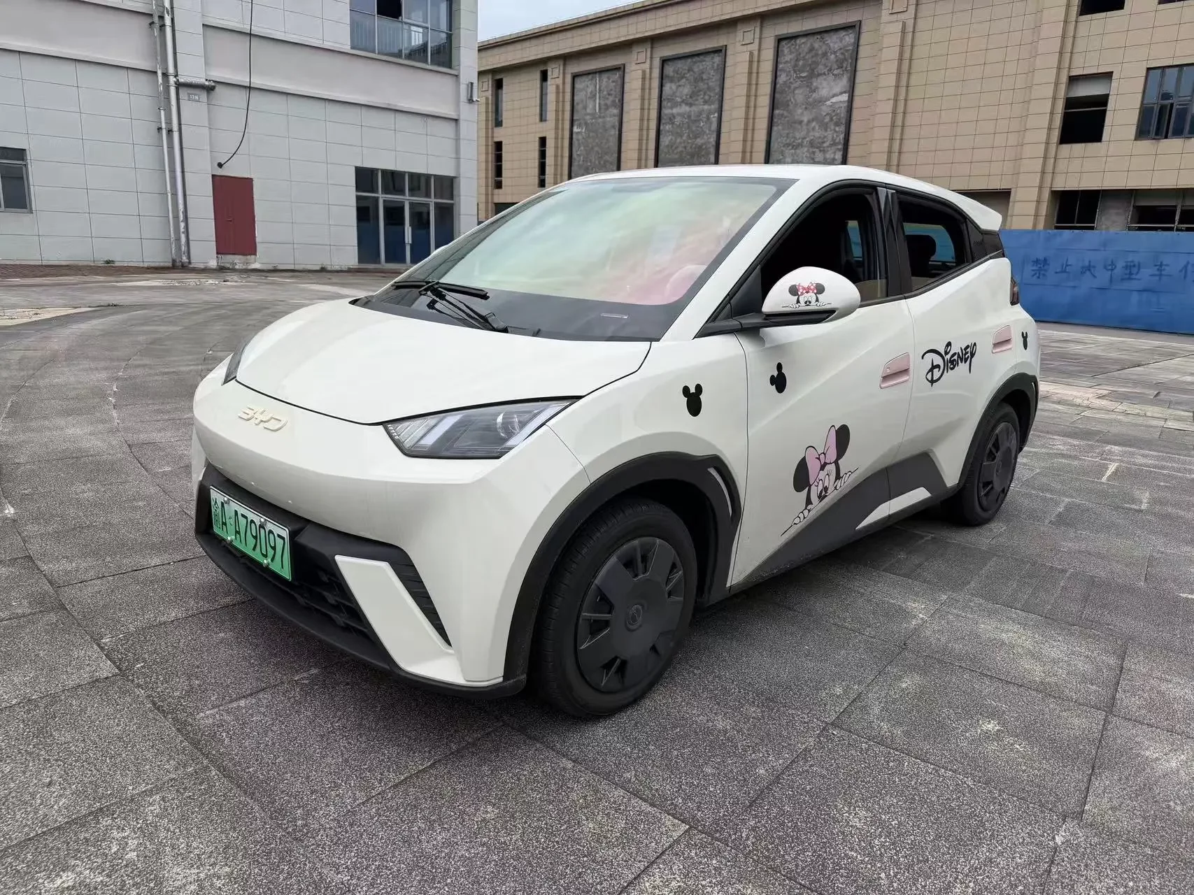 BYD seagull