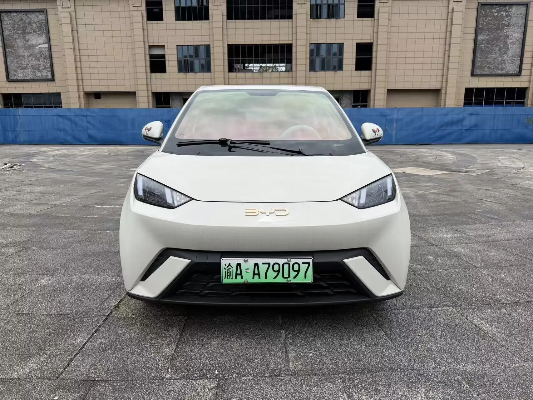 BYD seagull
