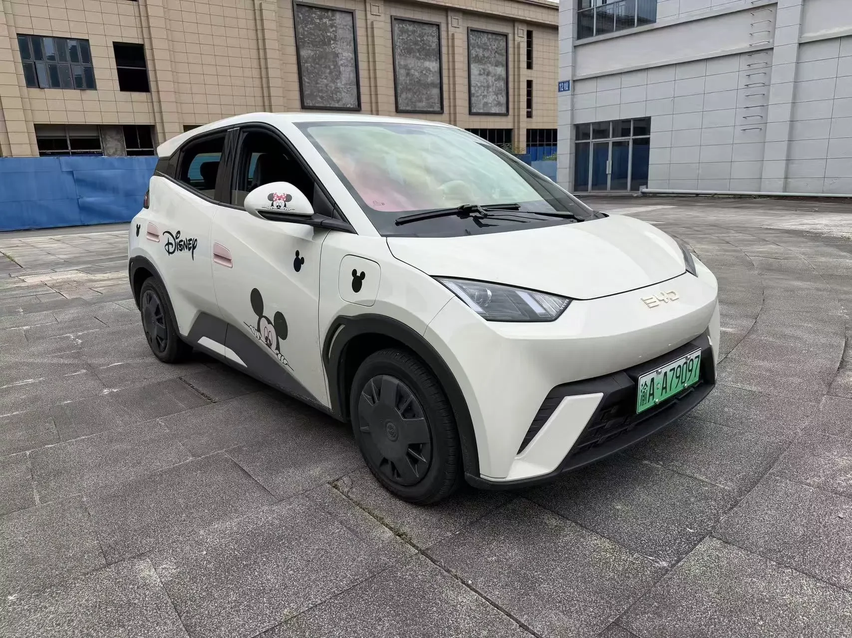 BYD seagull