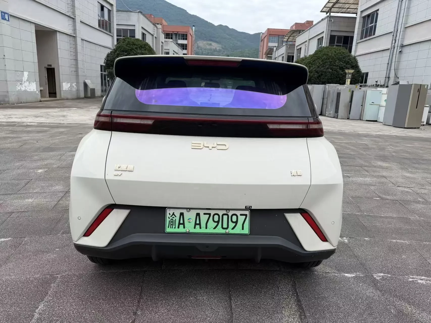 BYD seagull