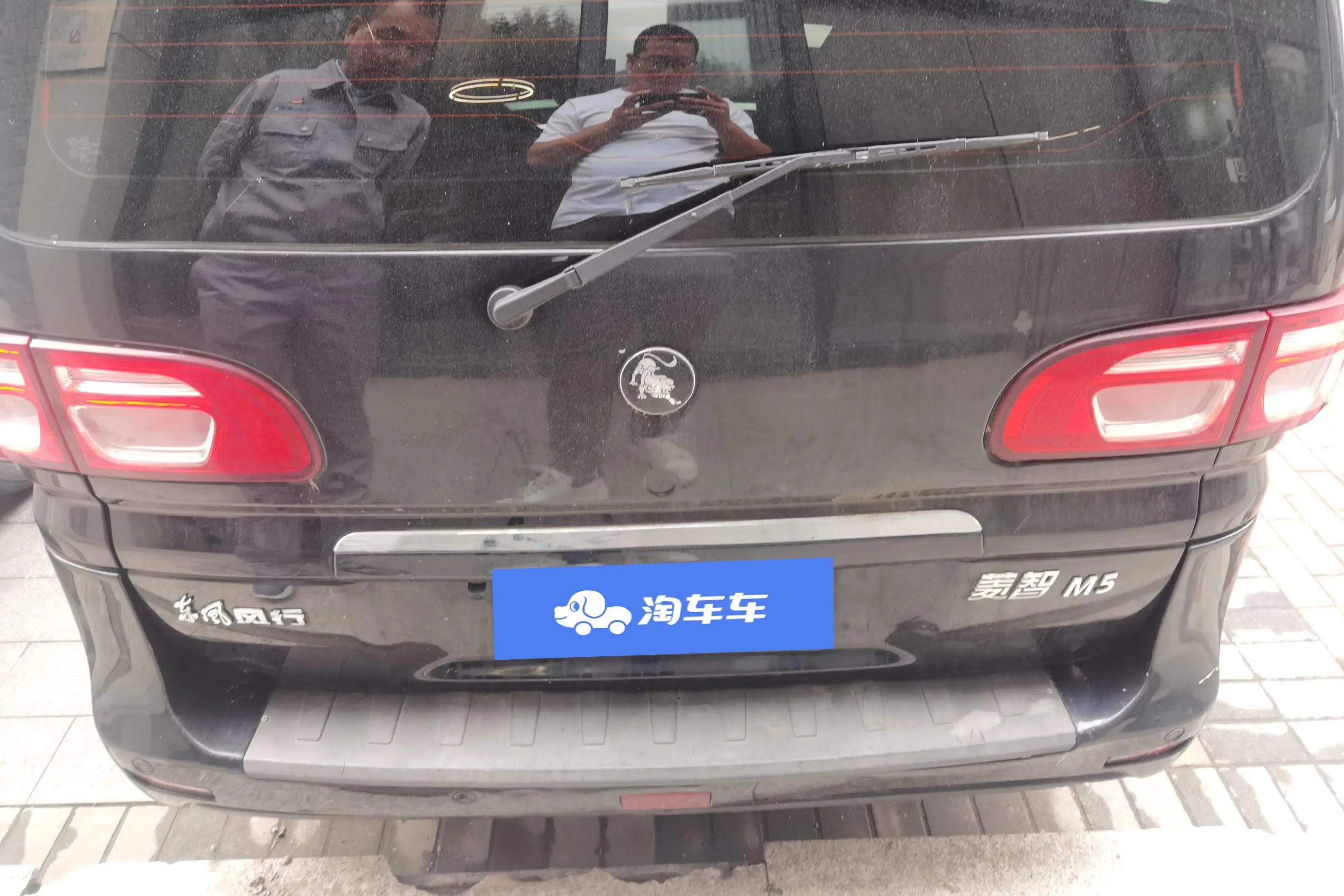 Forthing Lingzhi