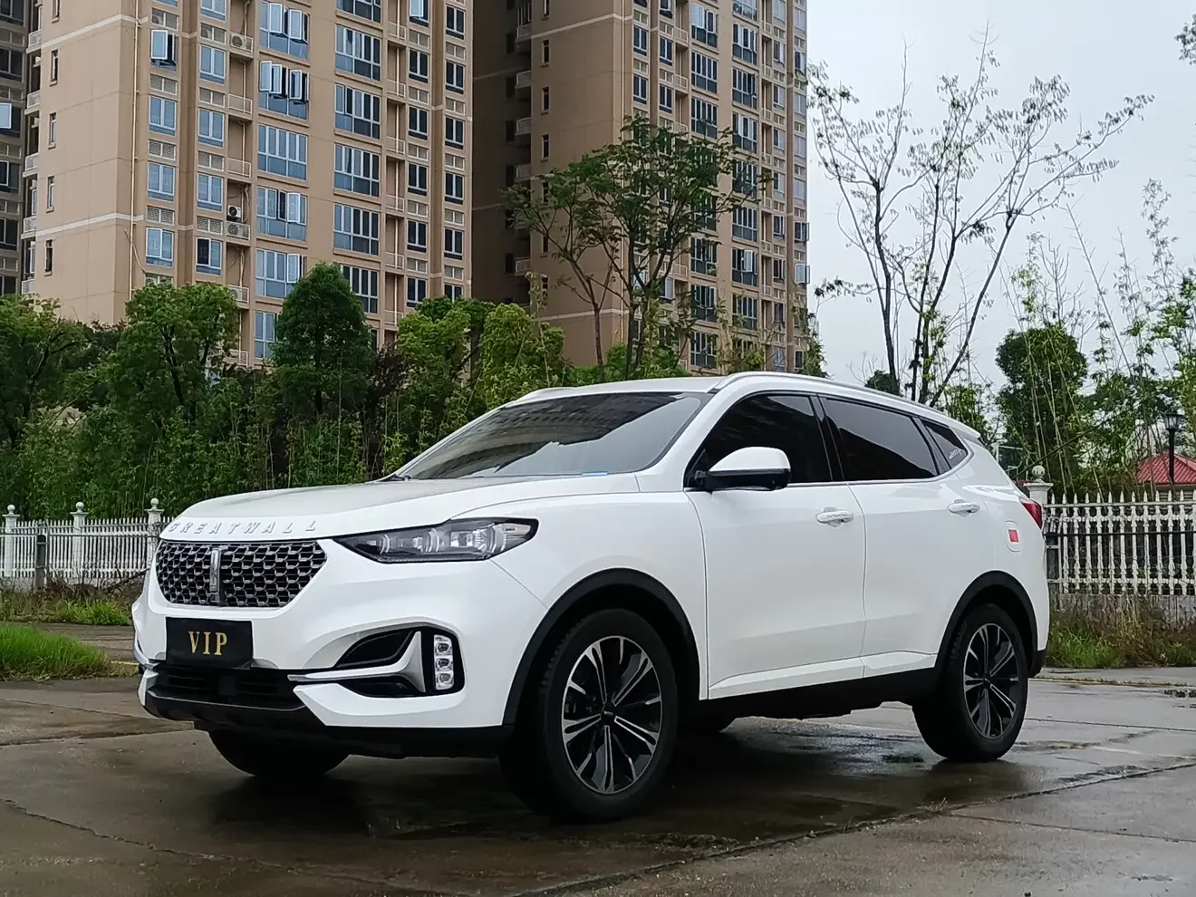Wey Wei brand VV6