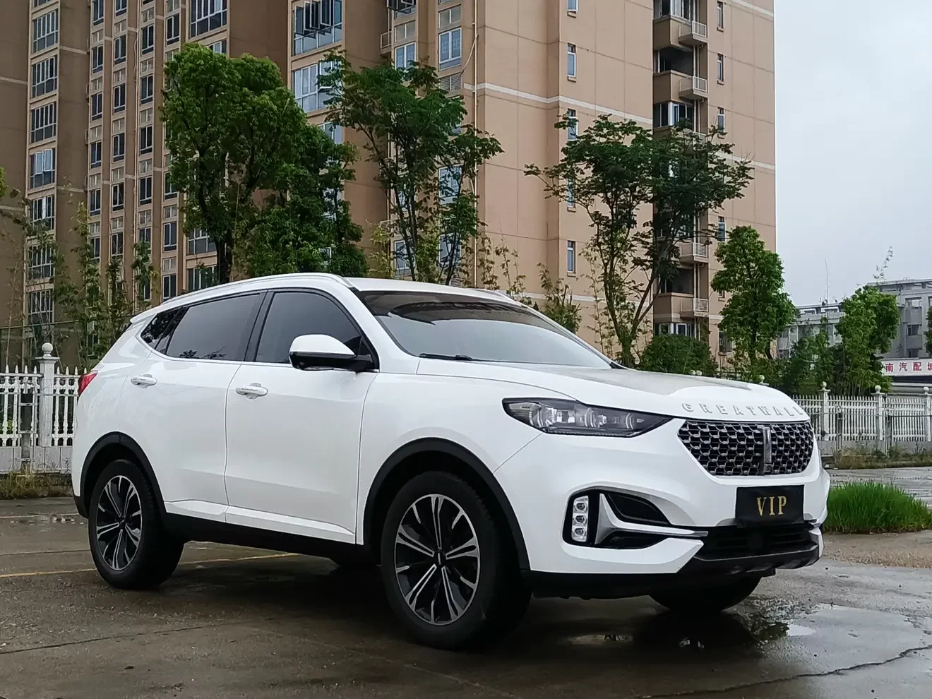 Wey Wei brand VV6