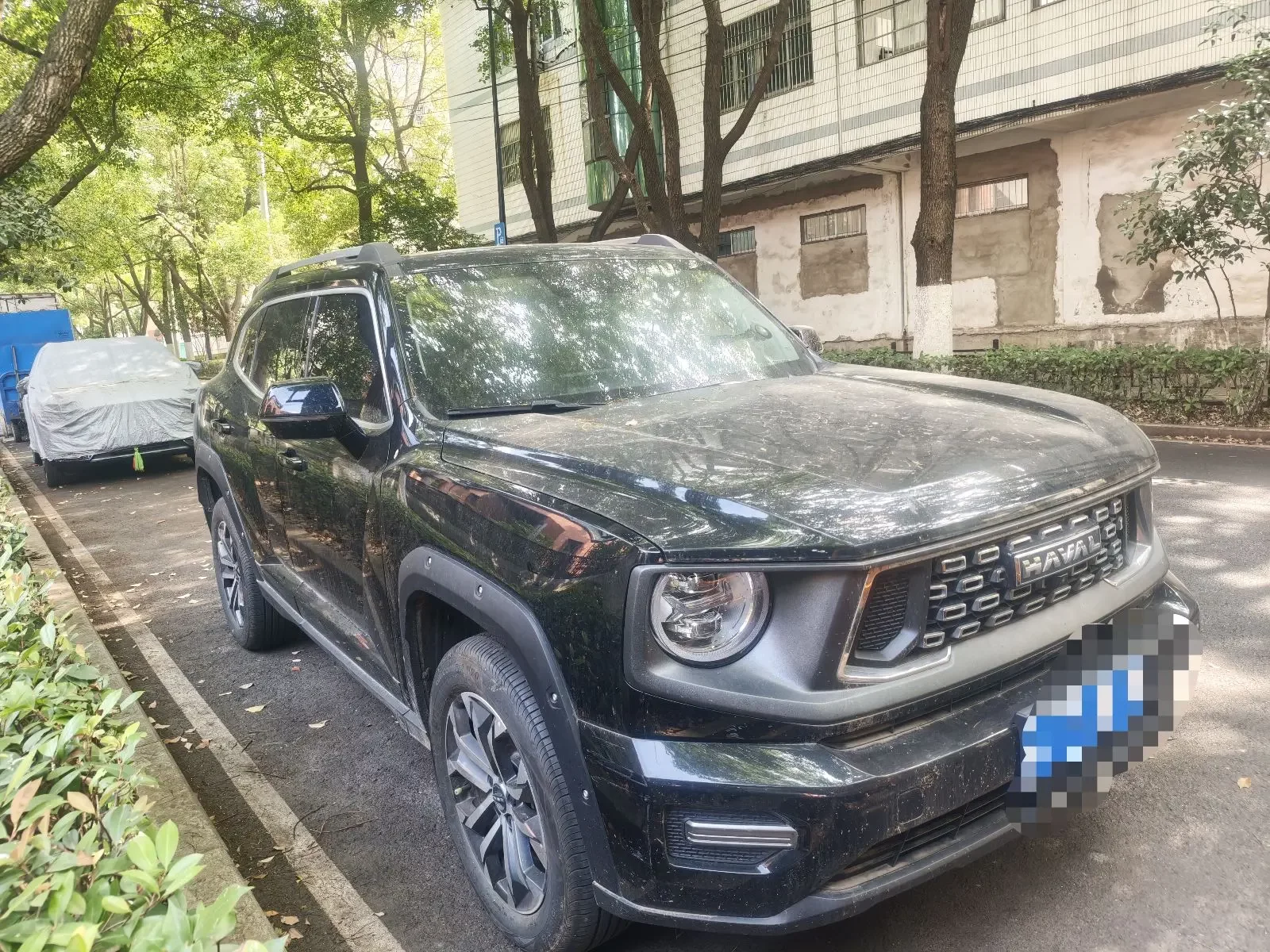 Haval H-Dog
