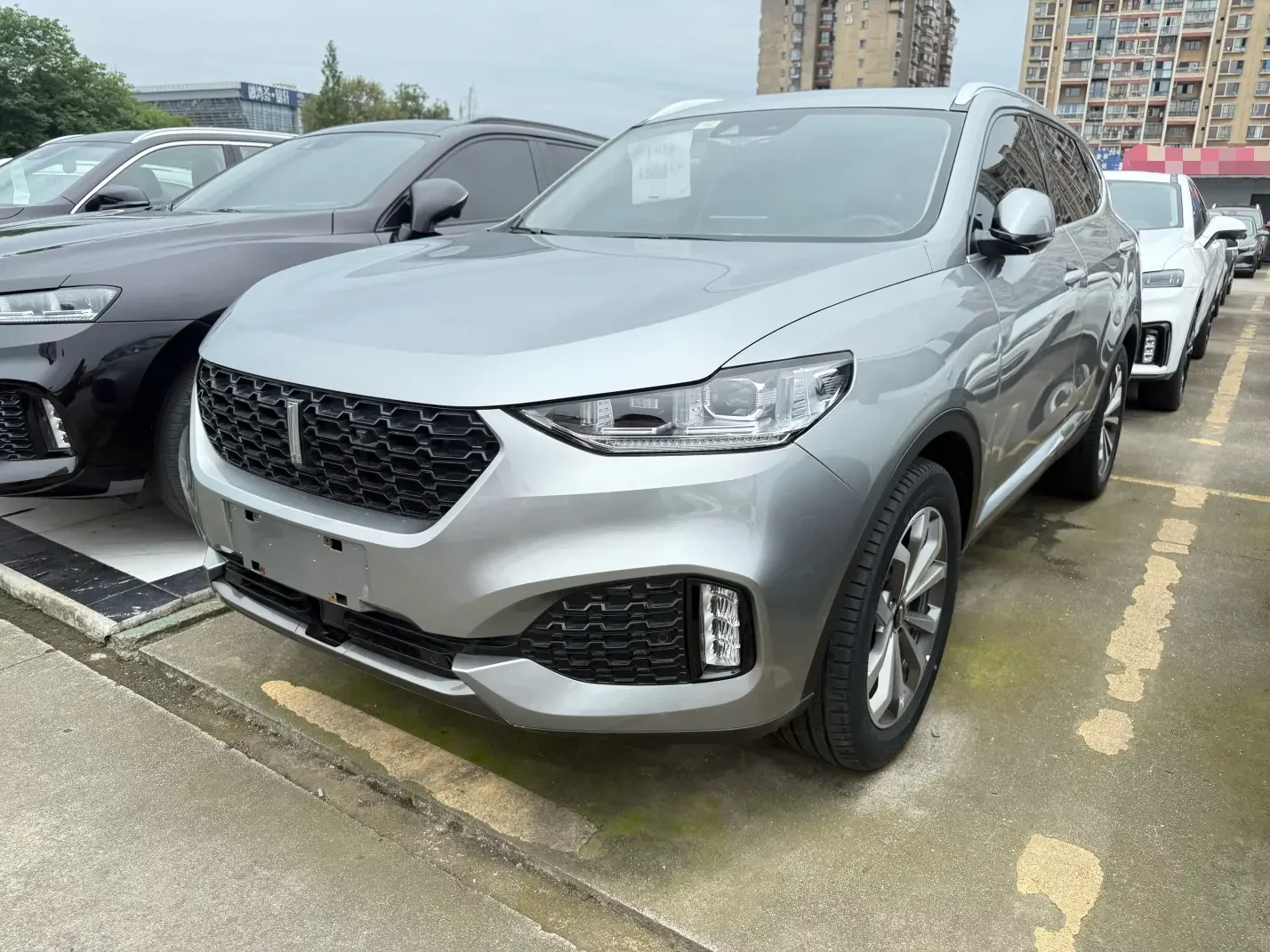 Wey Wei brand VV6