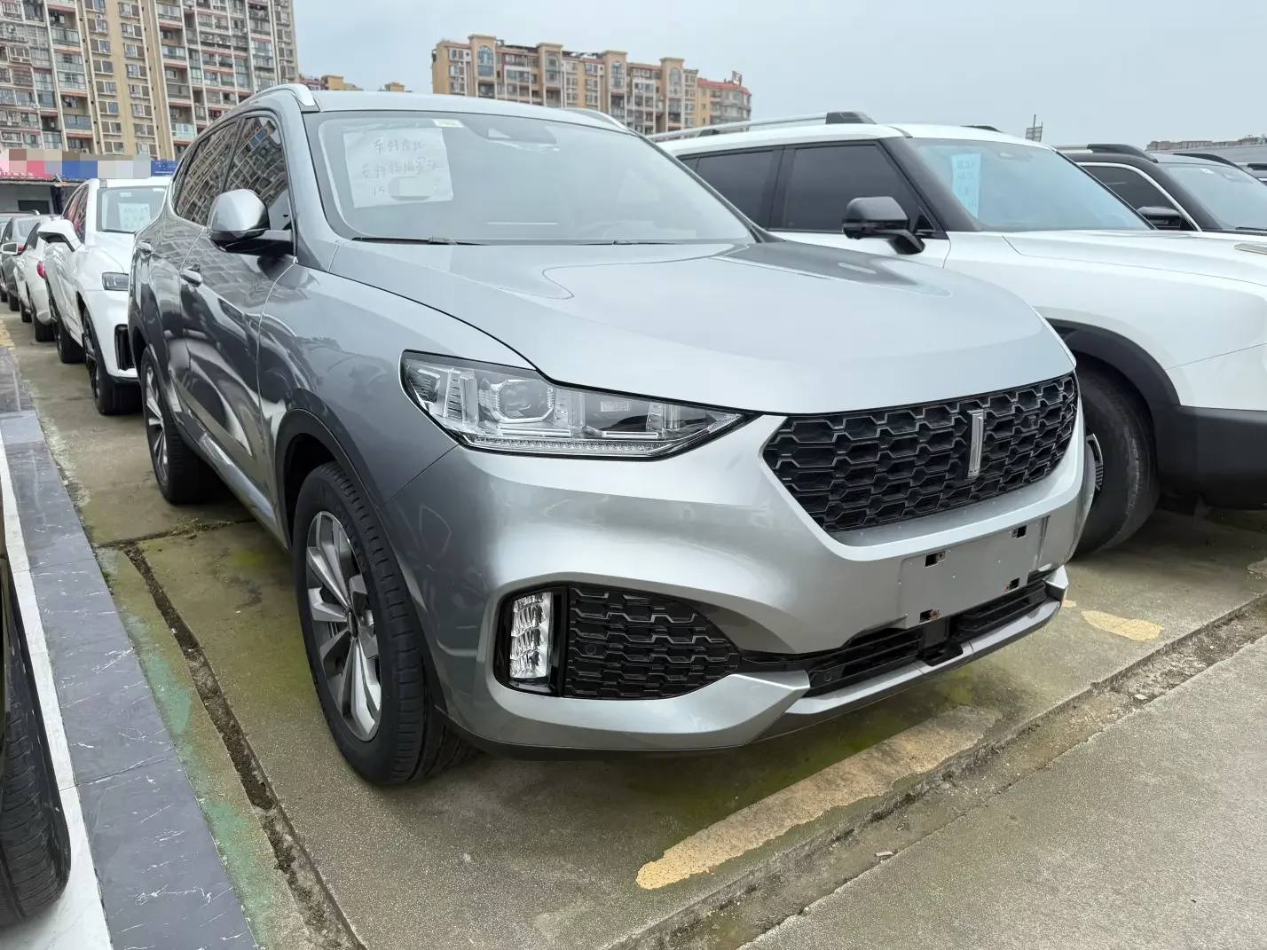 Wey Wei brand VV6
