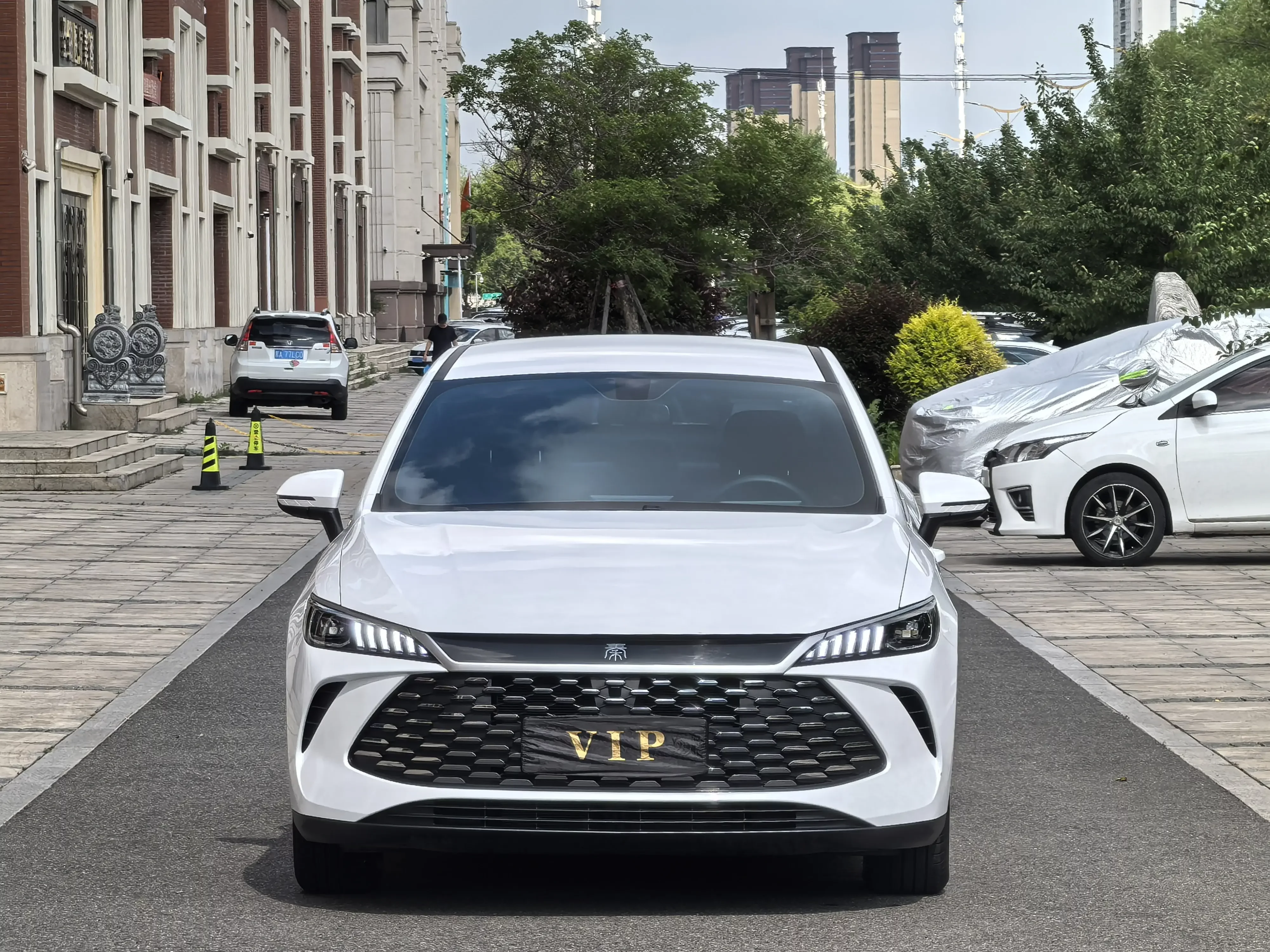 BYD Qin PLUS DM