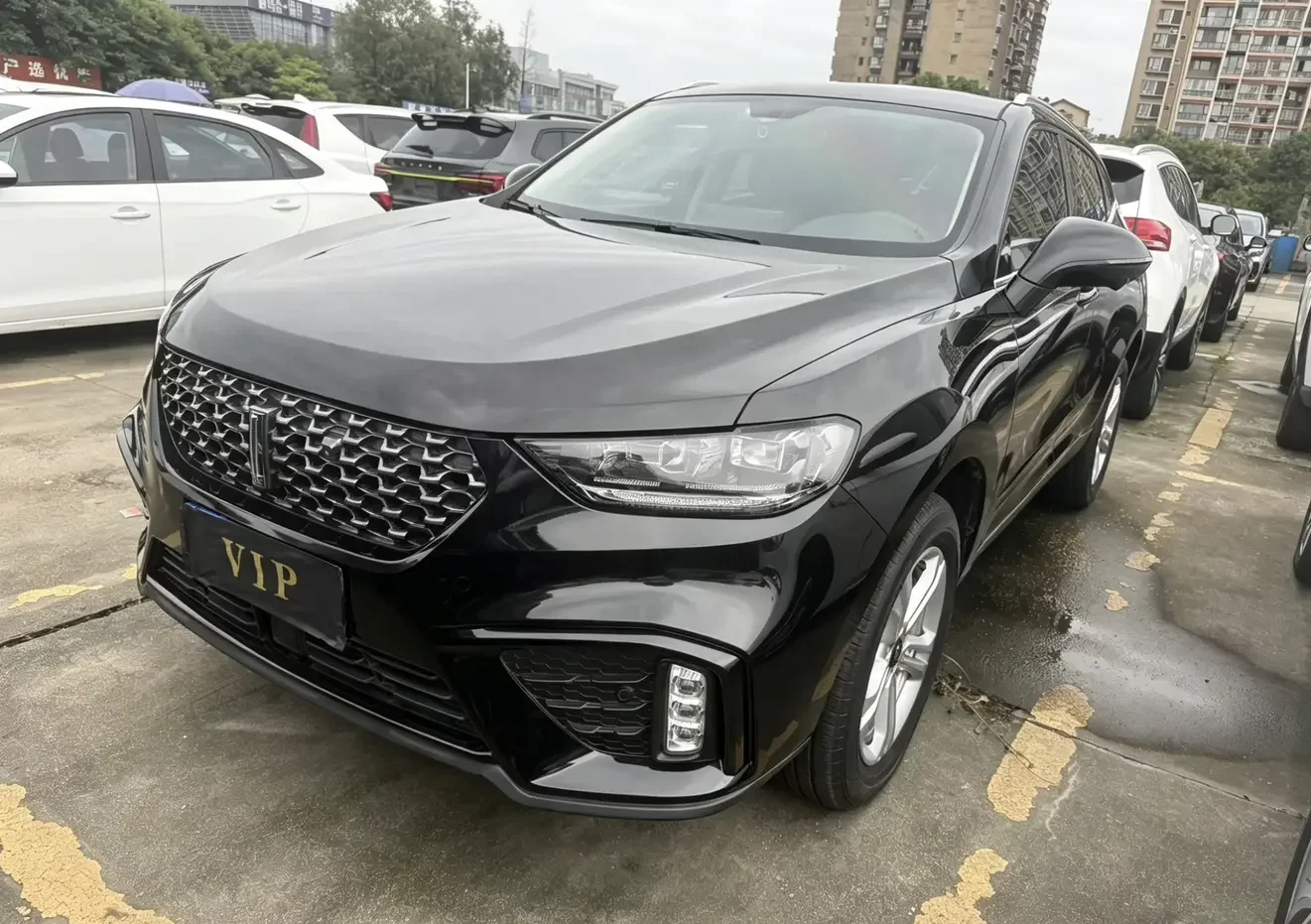 Wey Wei brand VV5