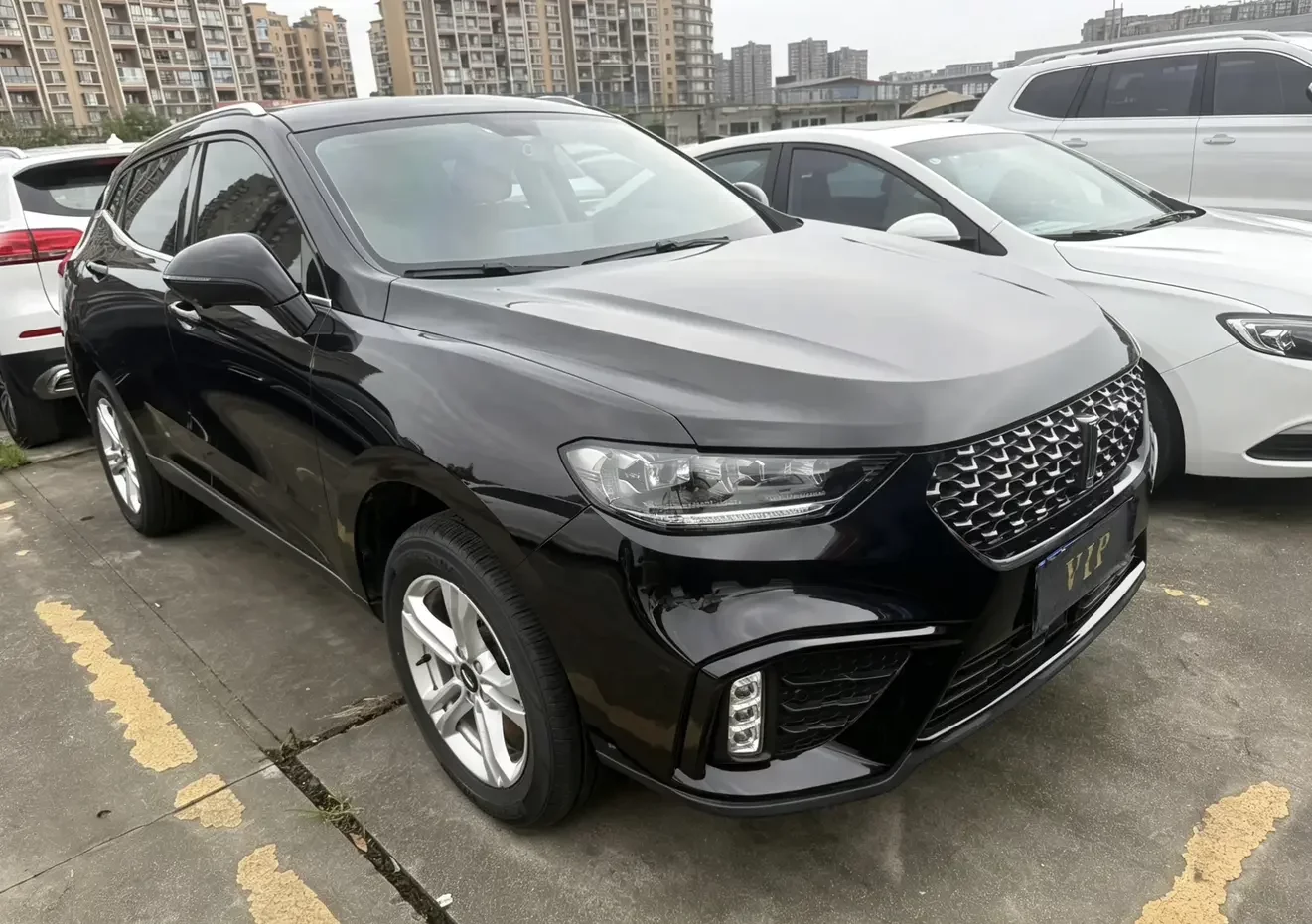 Wey Wei brand VV5