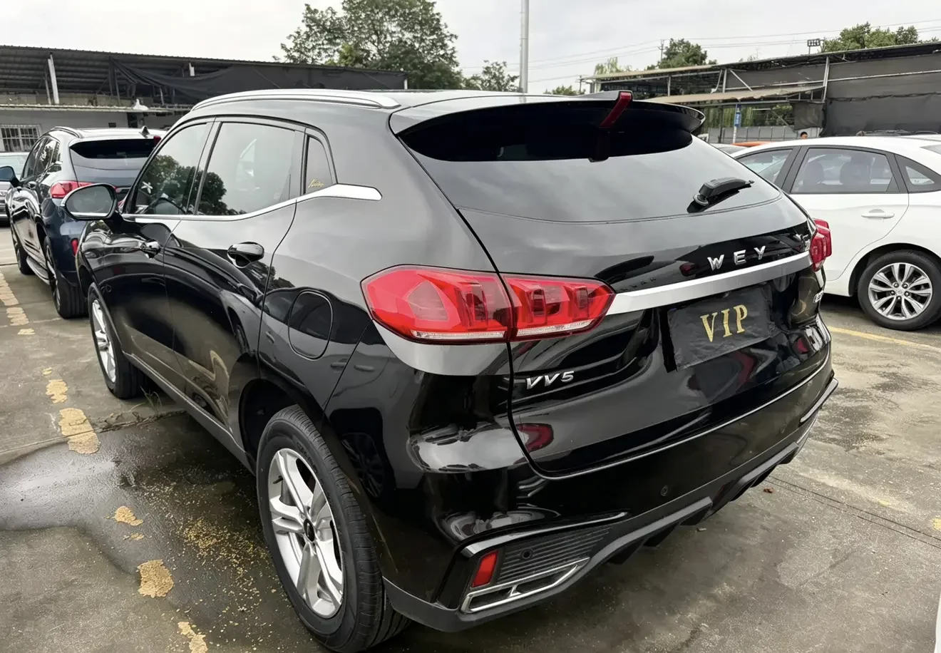 Wey Wei brand VV5