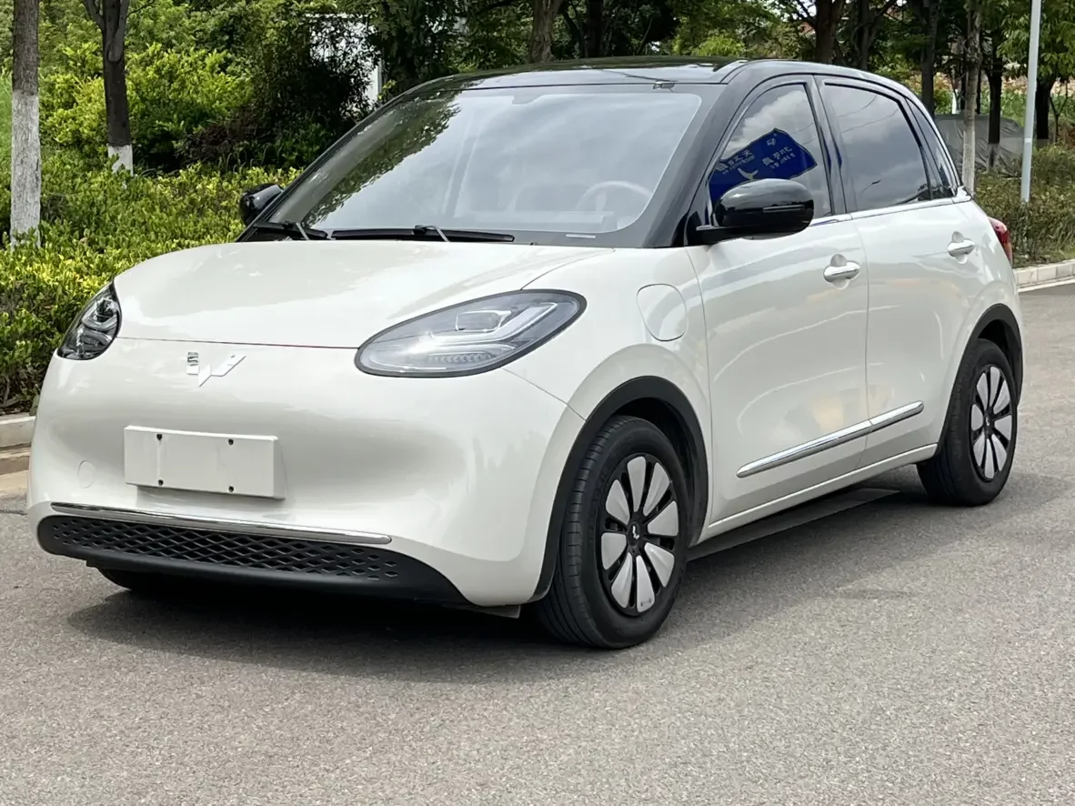 Wuling Bingo
