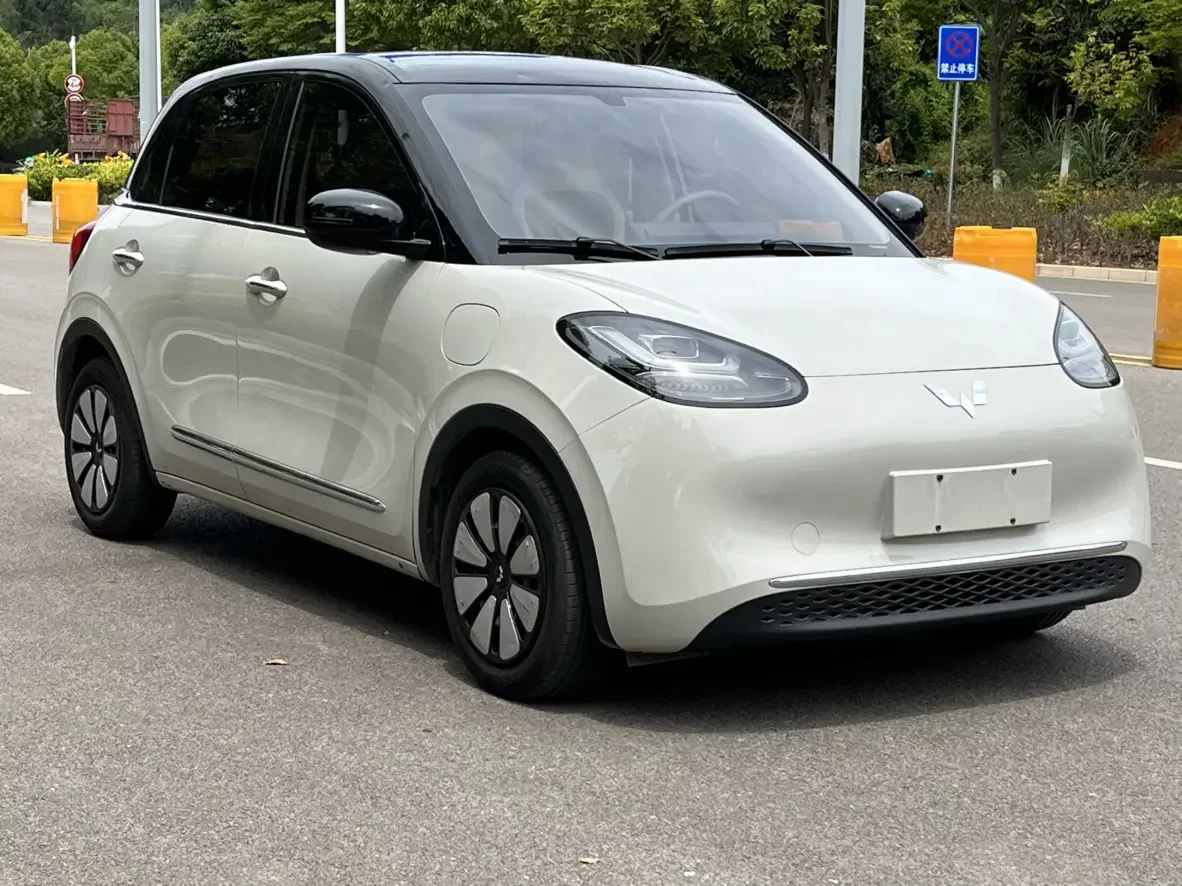 Wuling Bingo