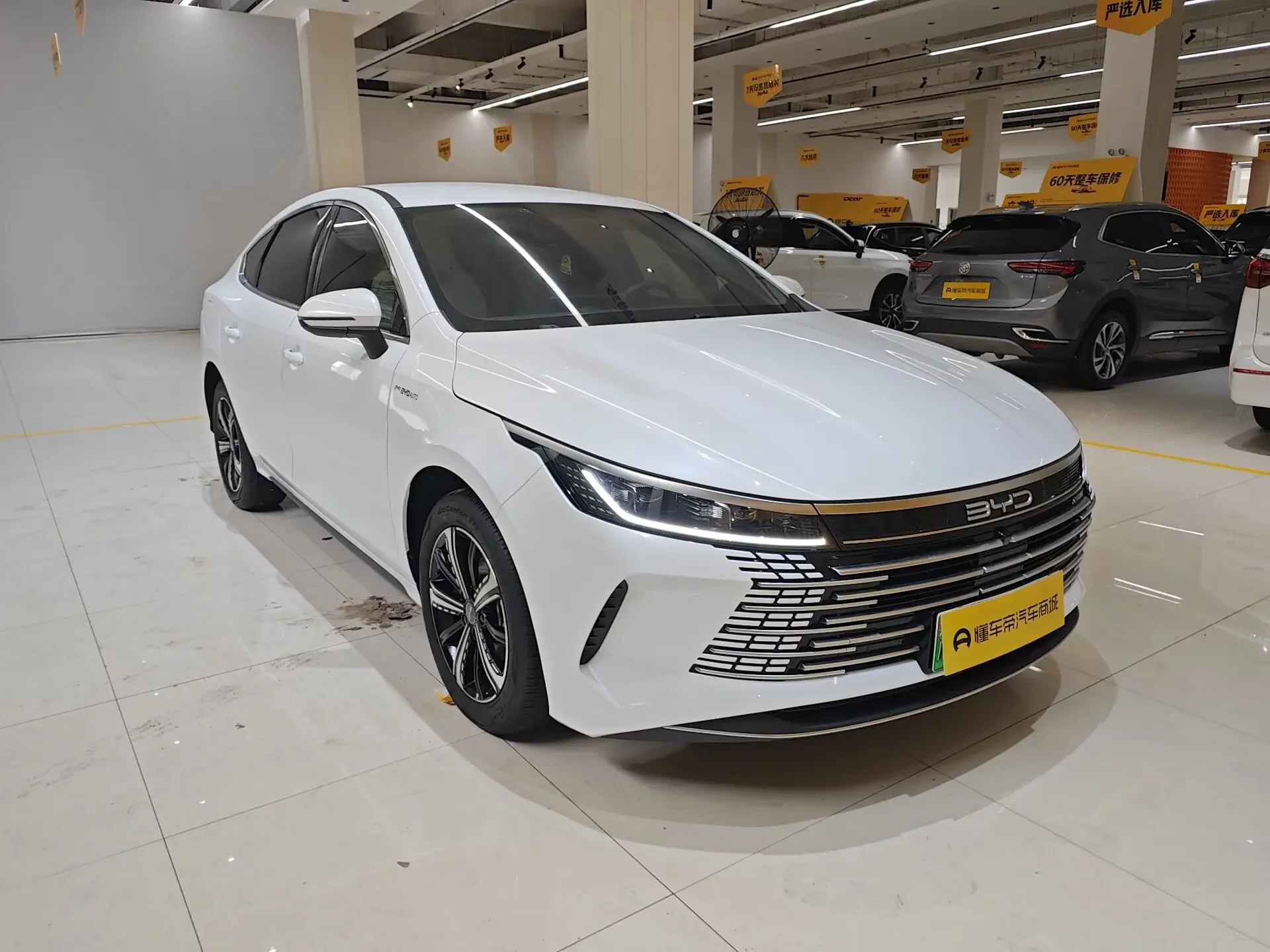 BYD Destroyer 05
