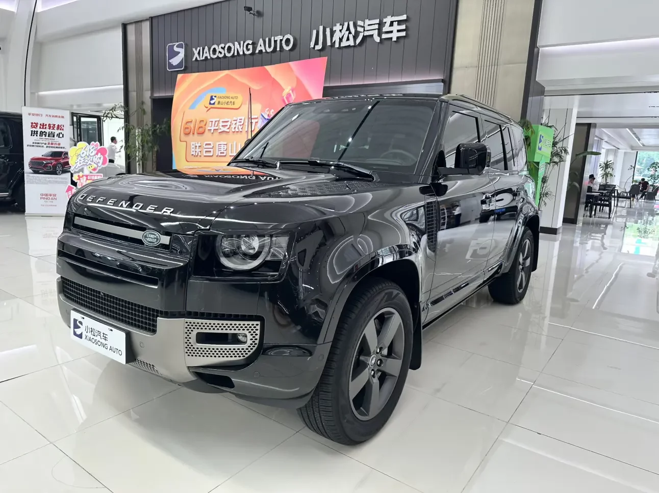 Land Rover guard