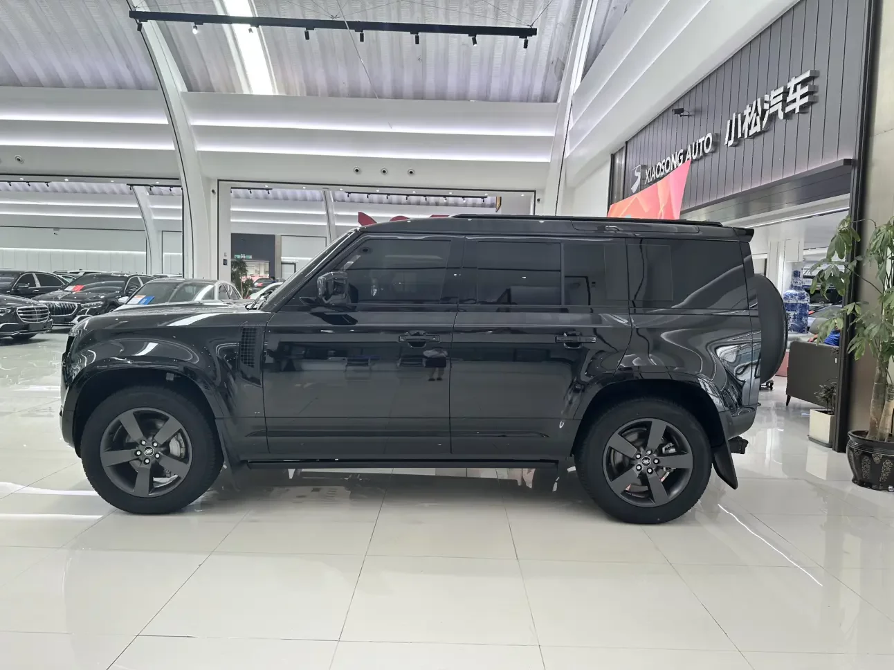 Land Rover guard