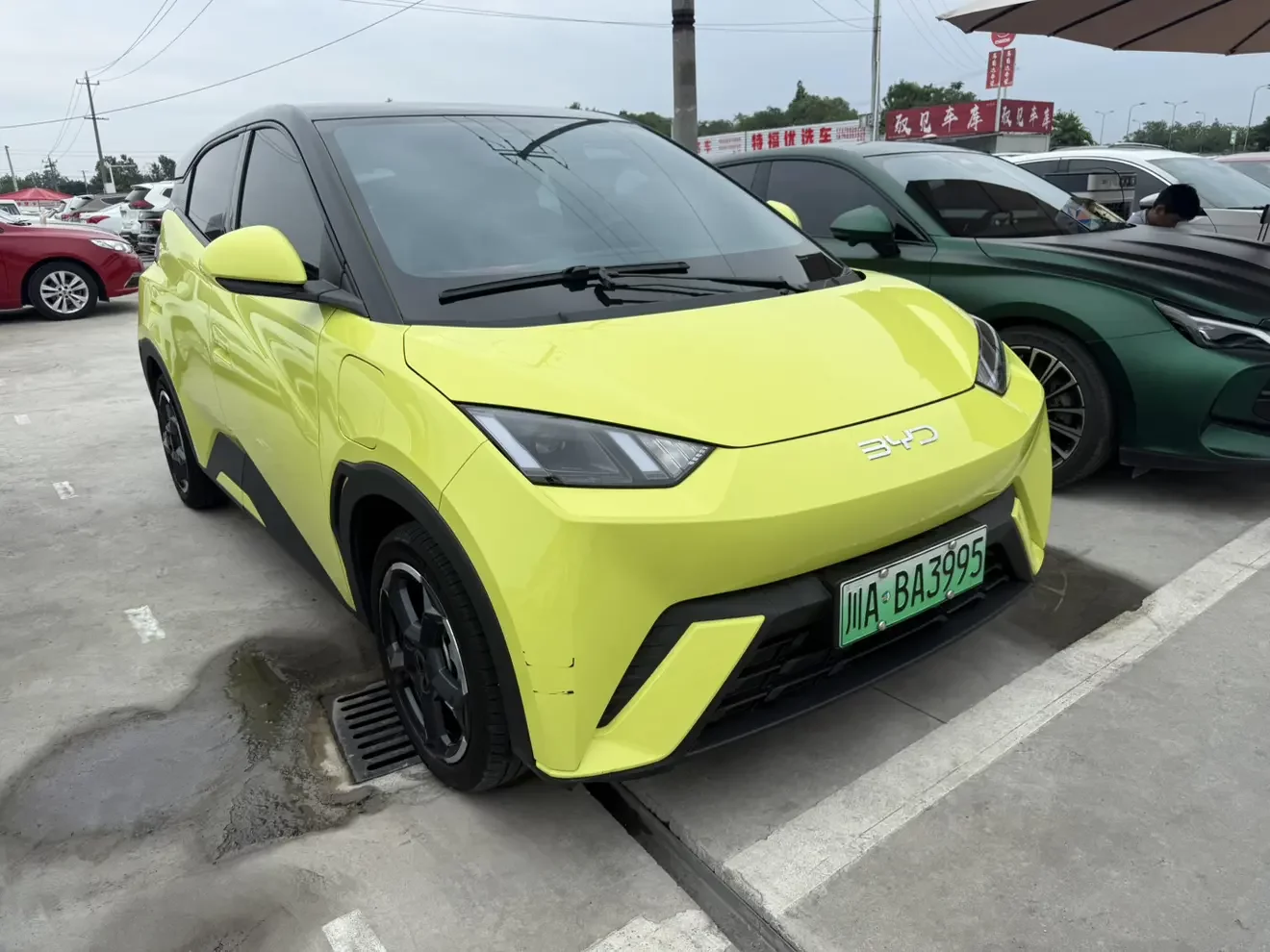 BYD seagull