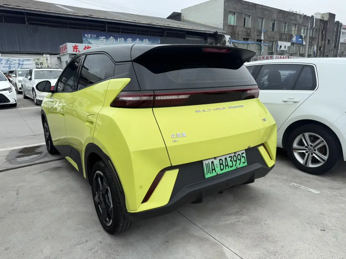 BYD seagull