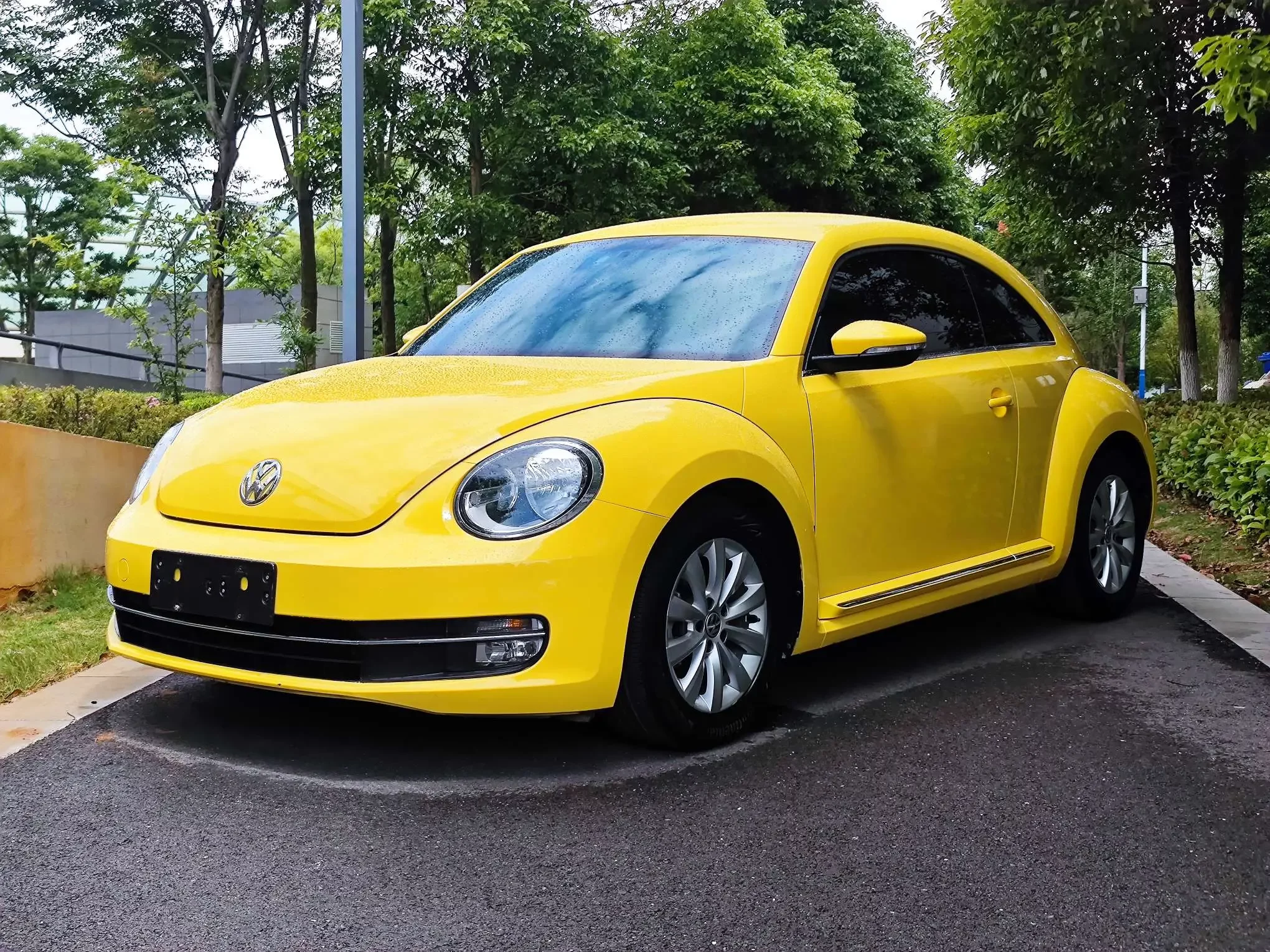 Volkswagen Beetle