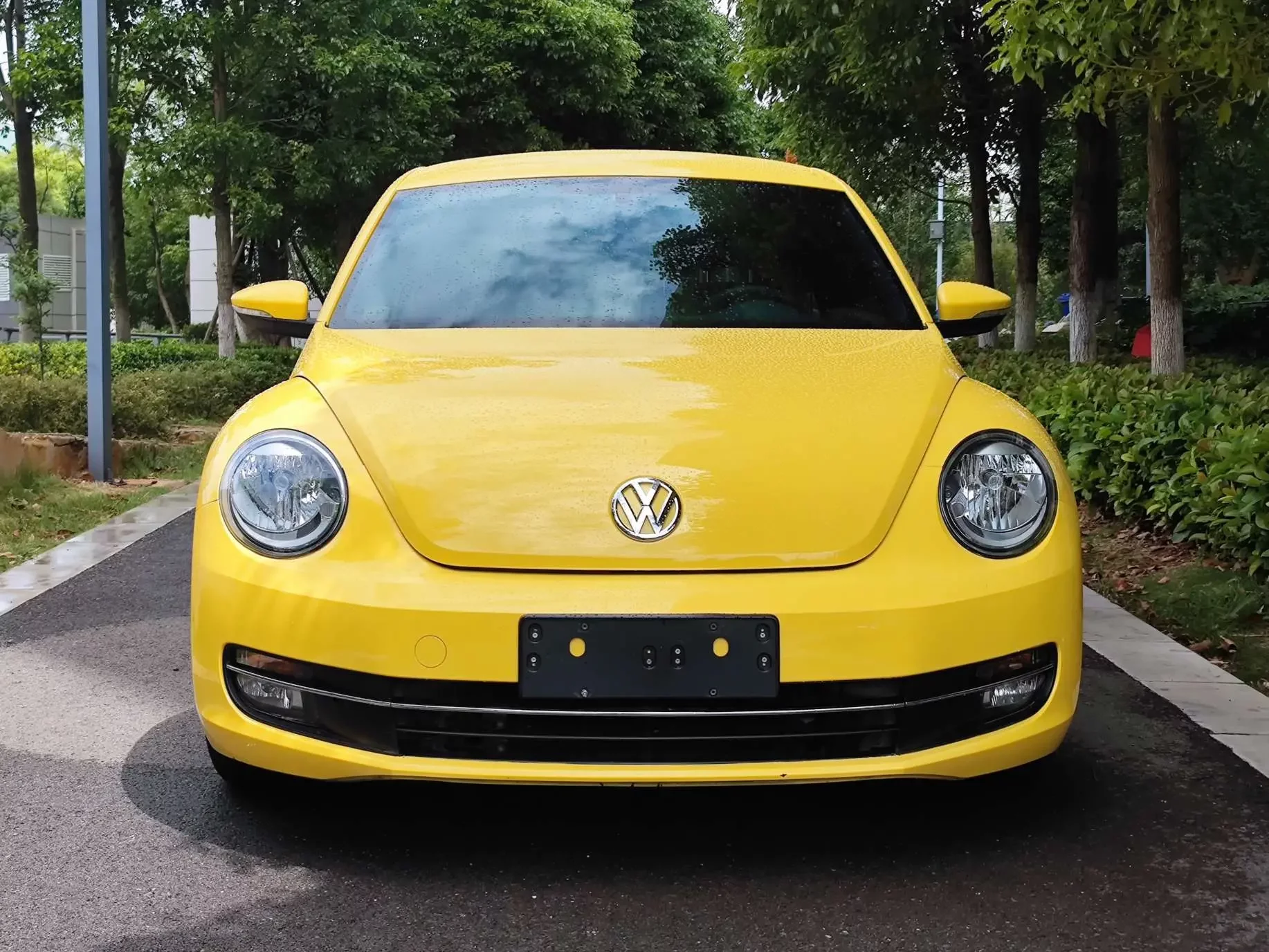 Volkswagen Beetle