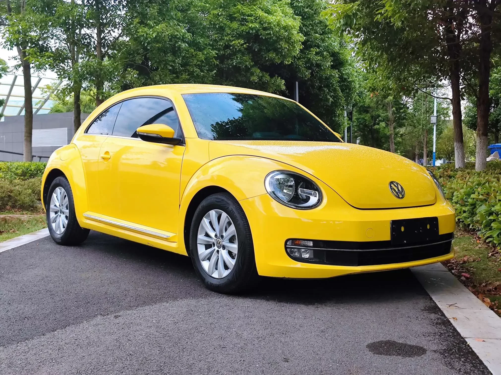 Volkswagen Beetle