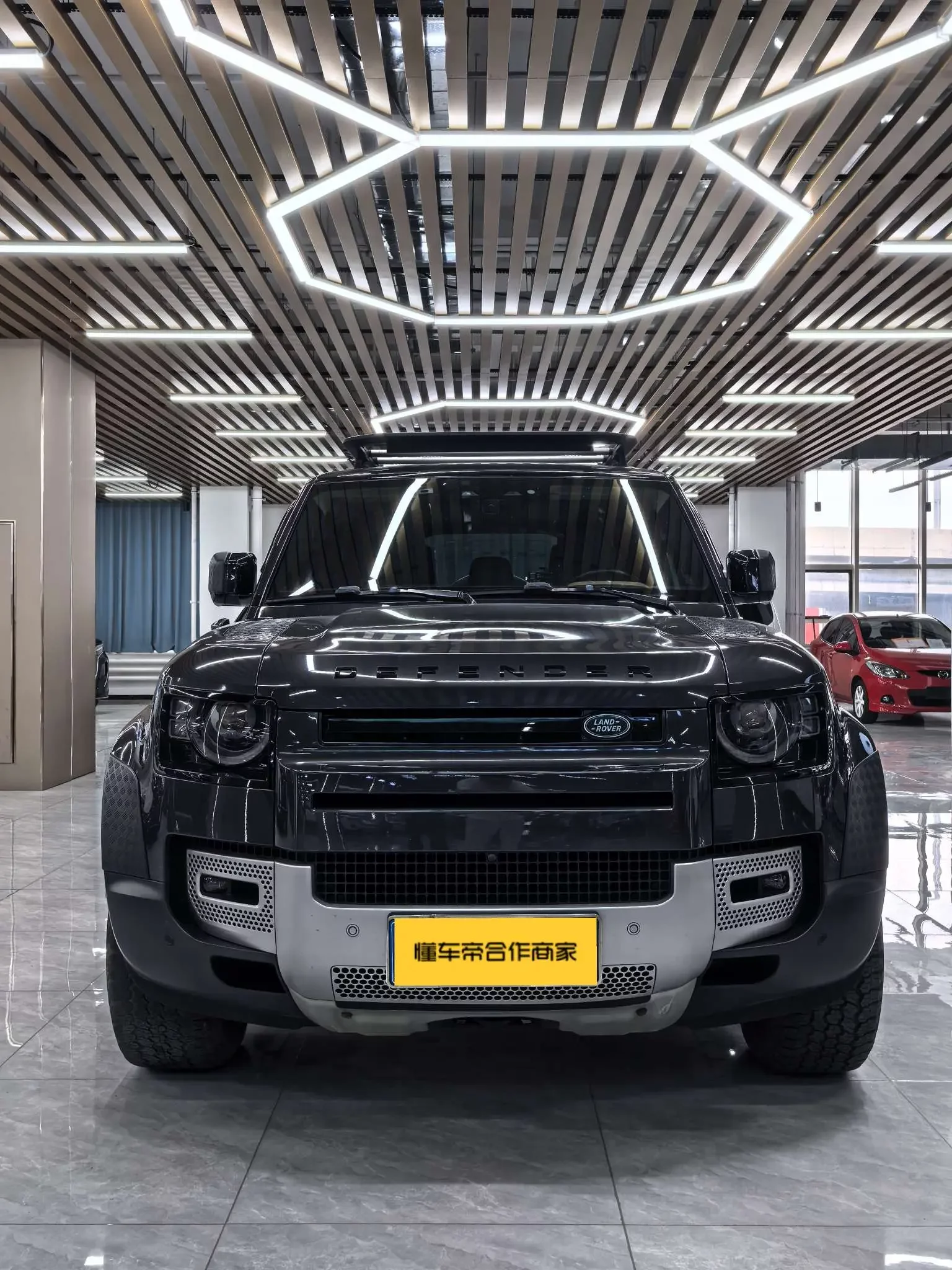 Land Rover guard