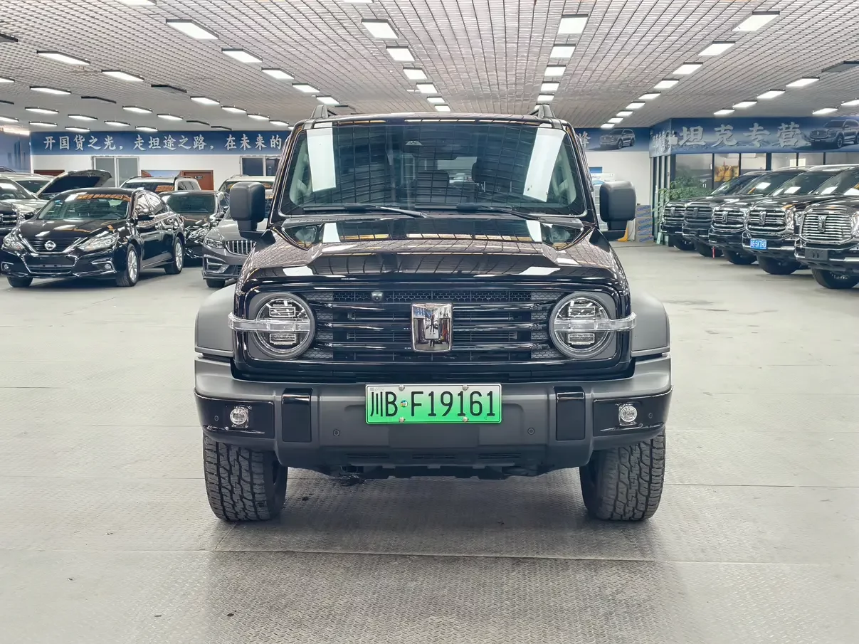 Tank 300 Hi4-T