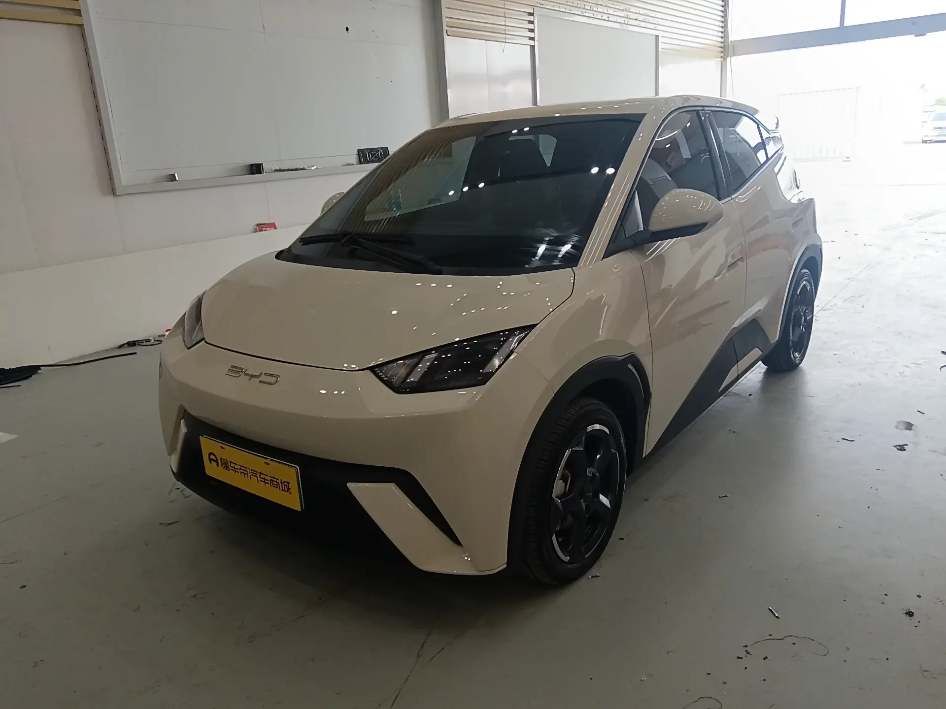 BYD seagull