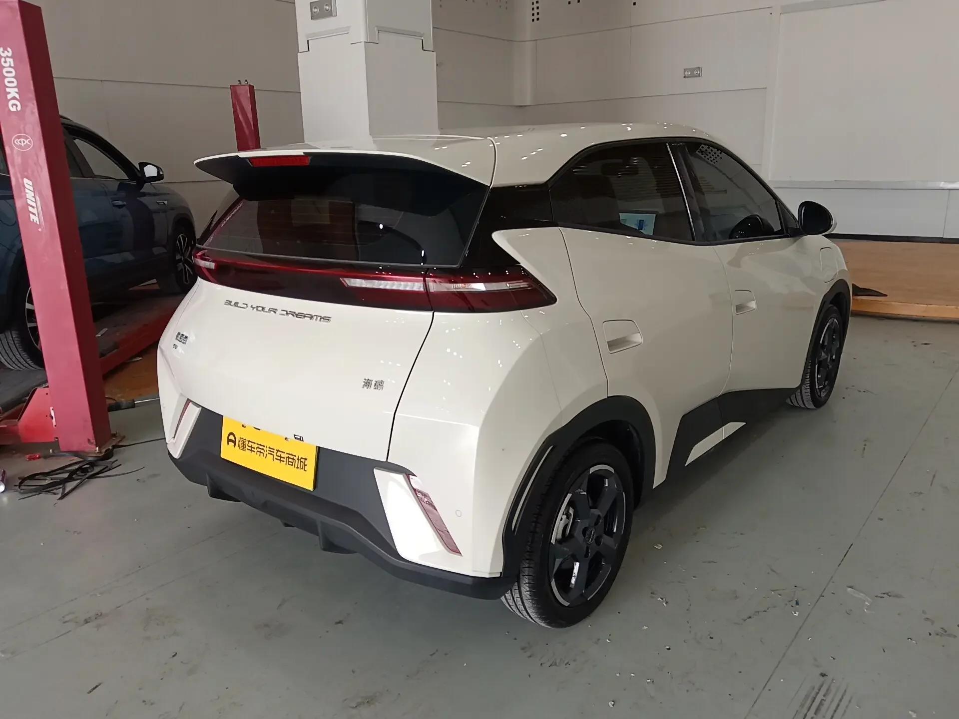 BYD seagull