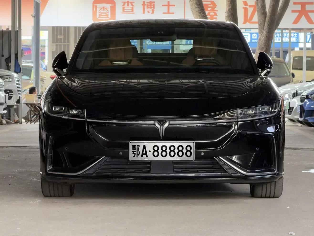 Voyah ELECTRIC EV