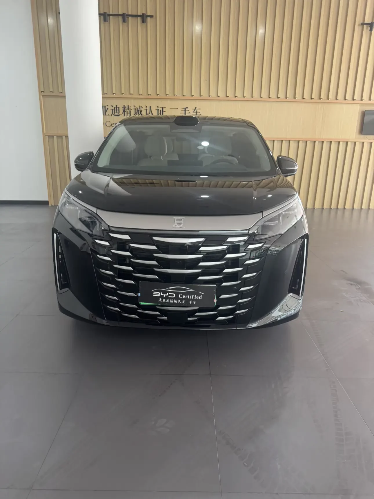 BYD summer