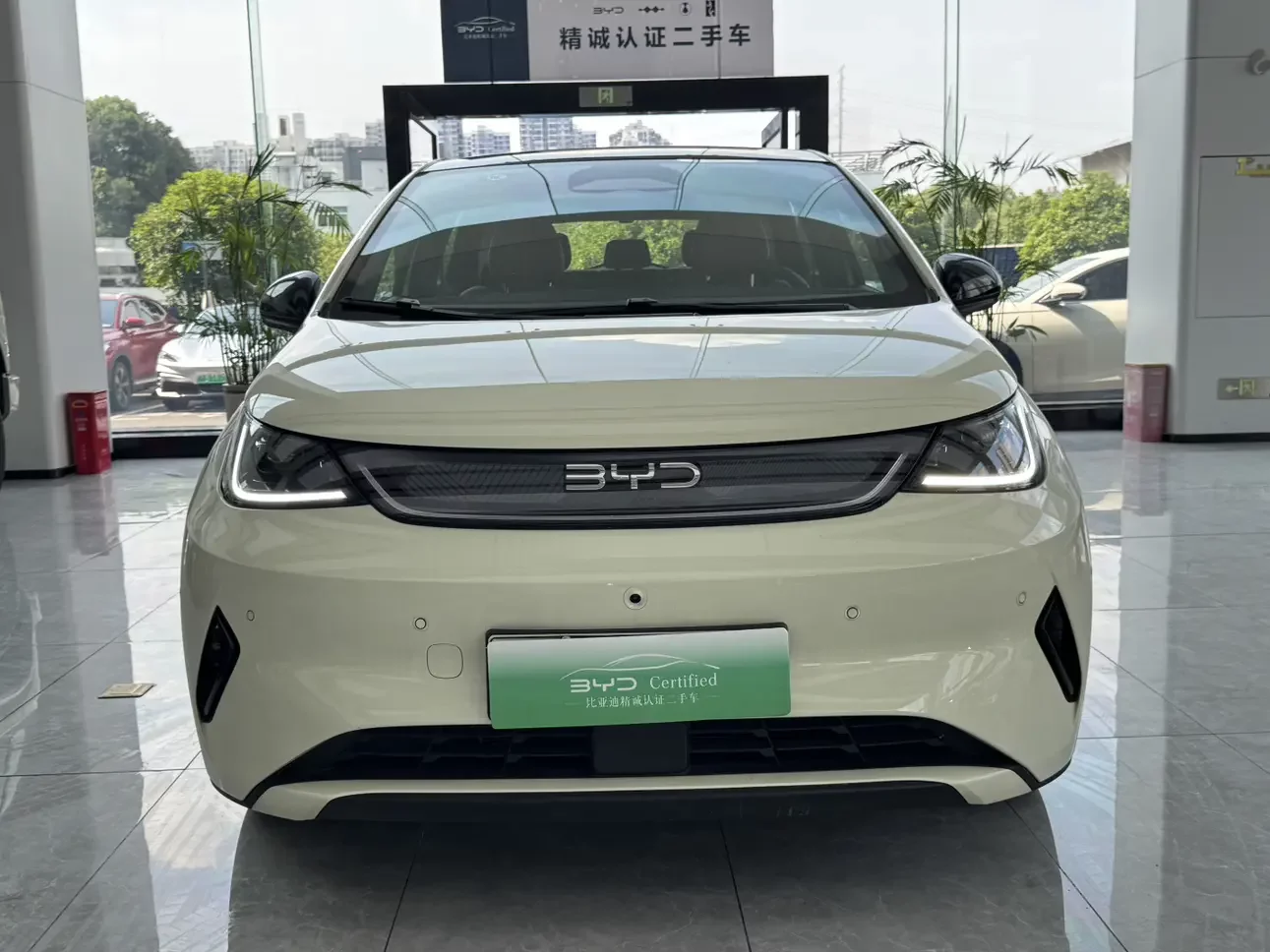 BYD dolphin