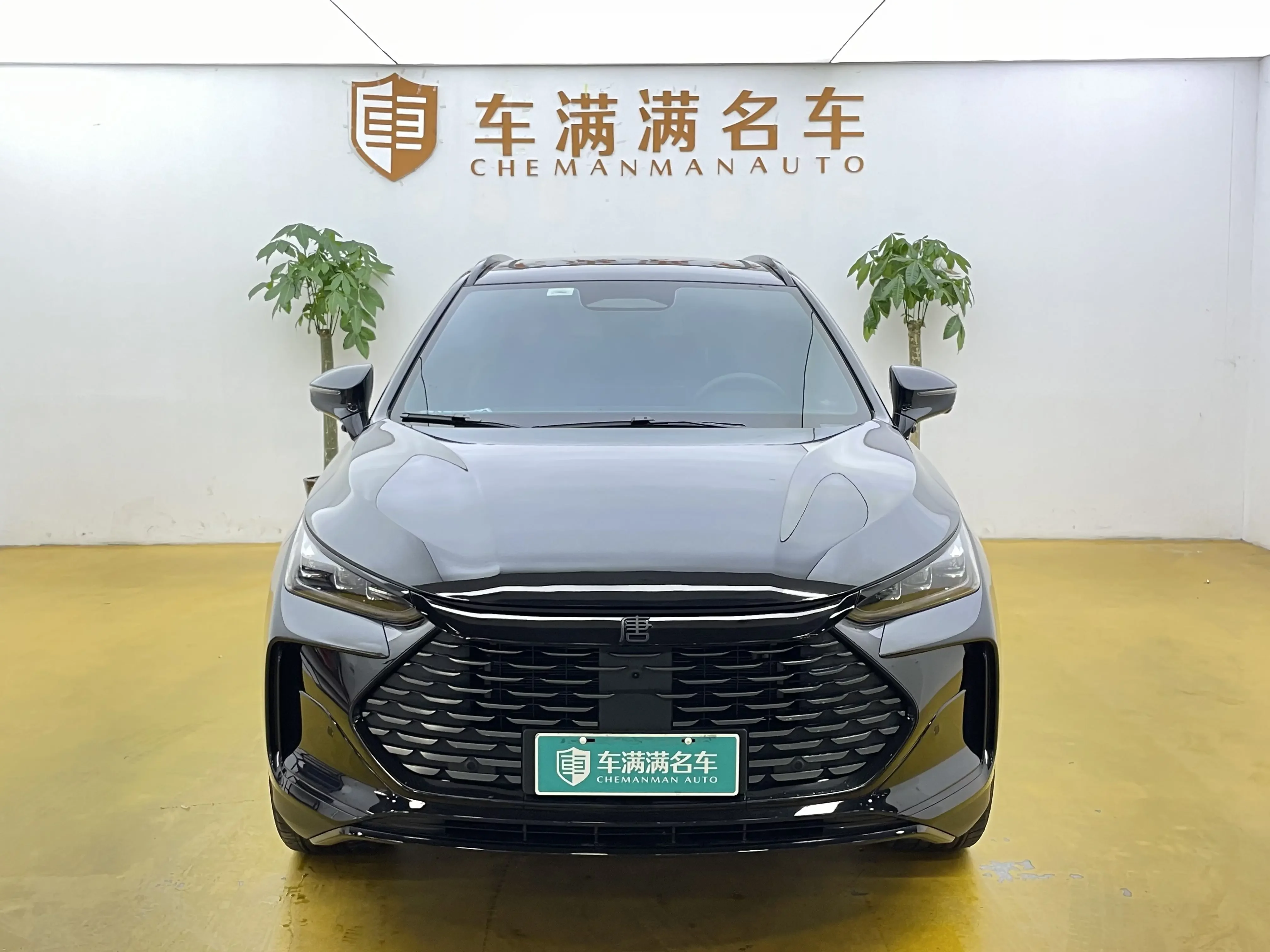 BYD Tang DM