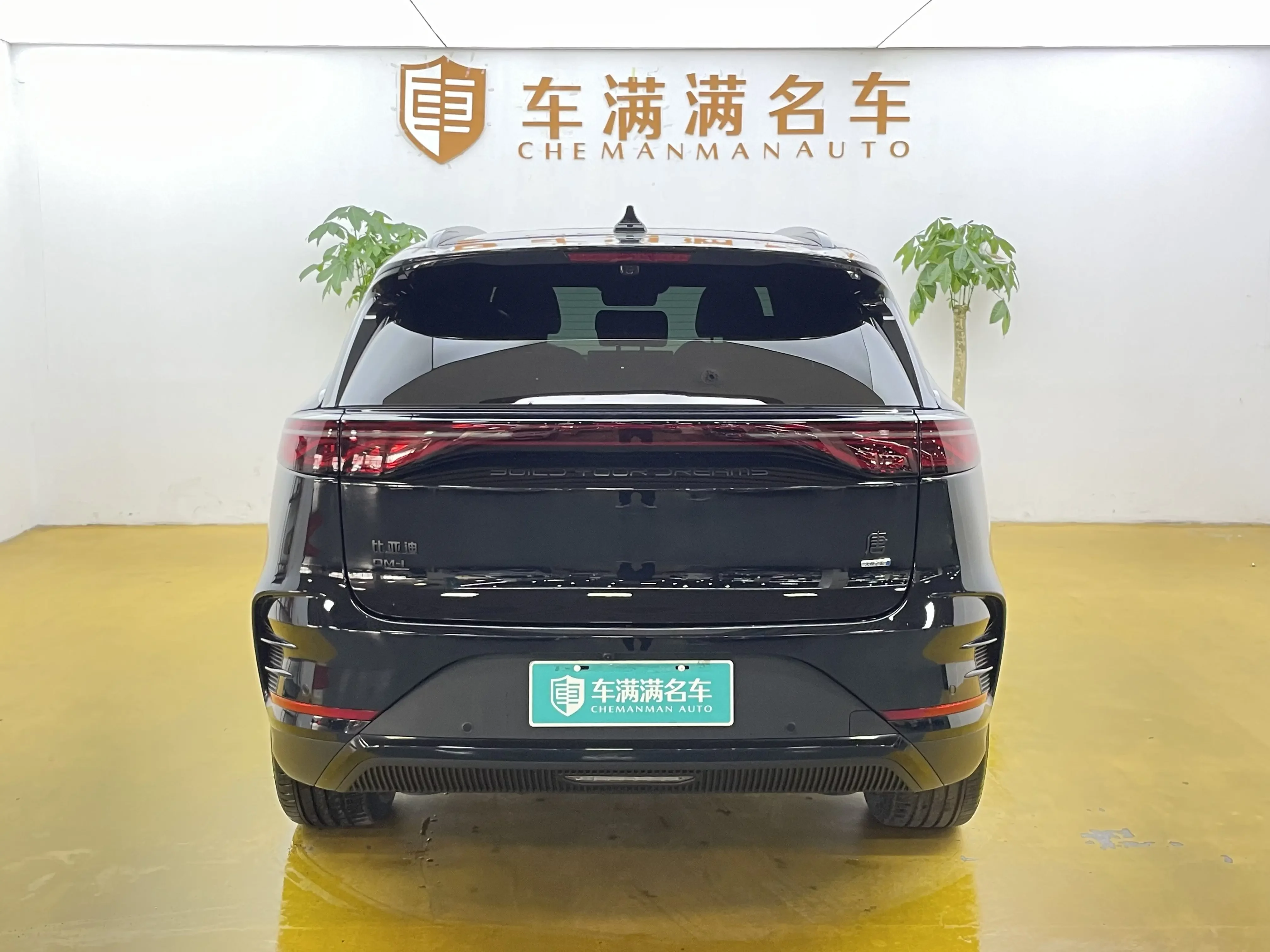 BYD Tang DM