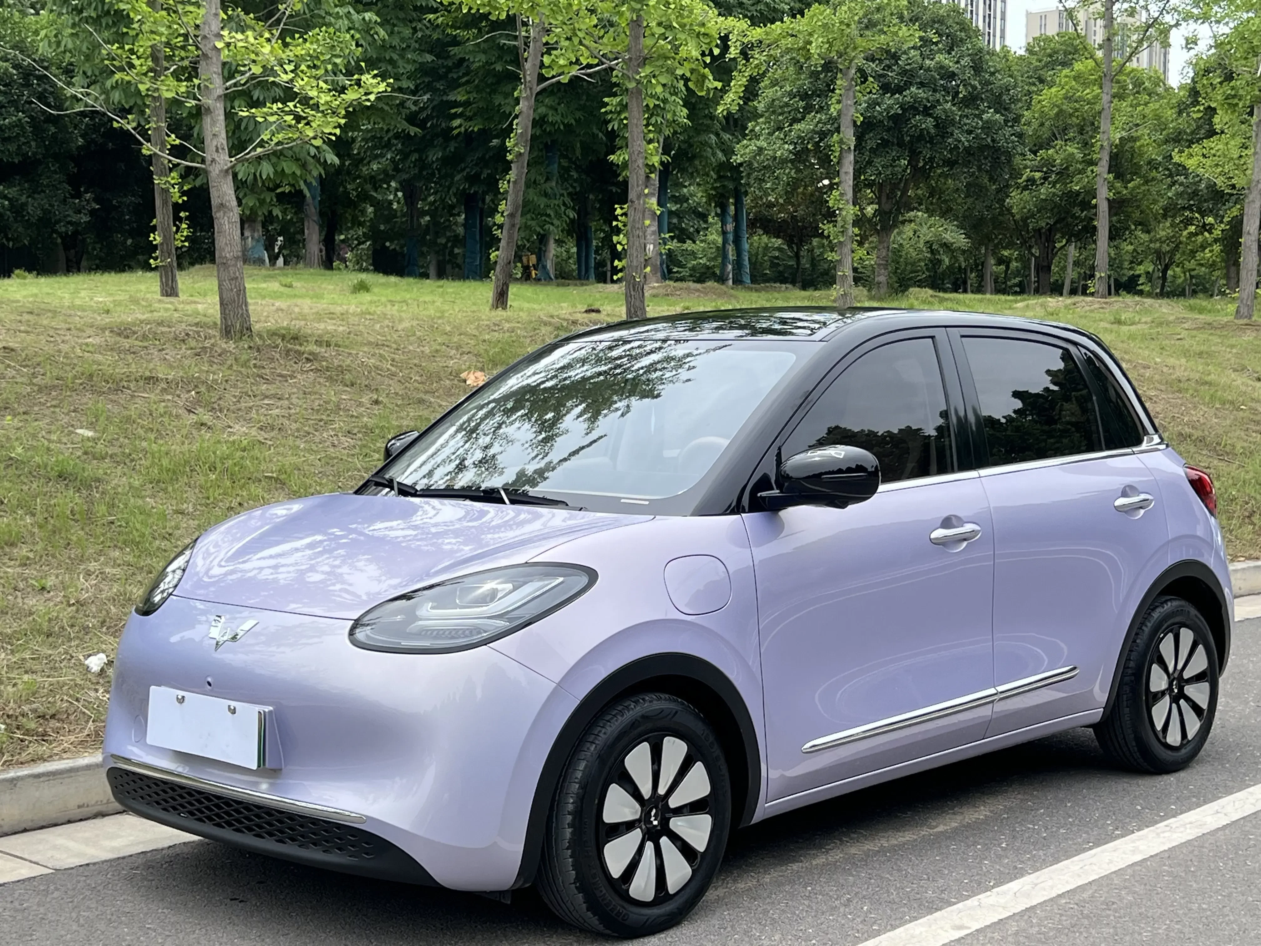 Wuling Bingo