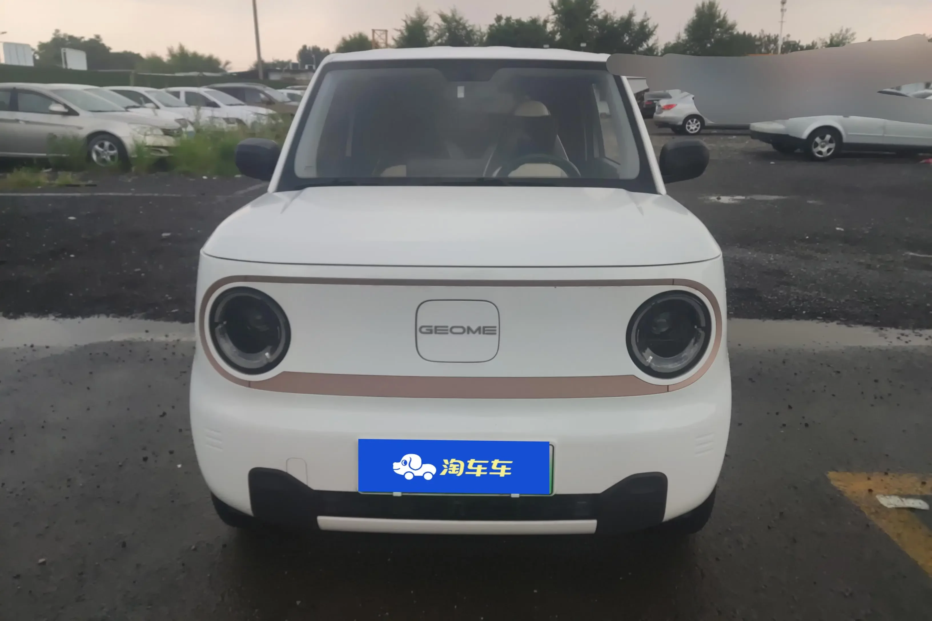 Geely panda