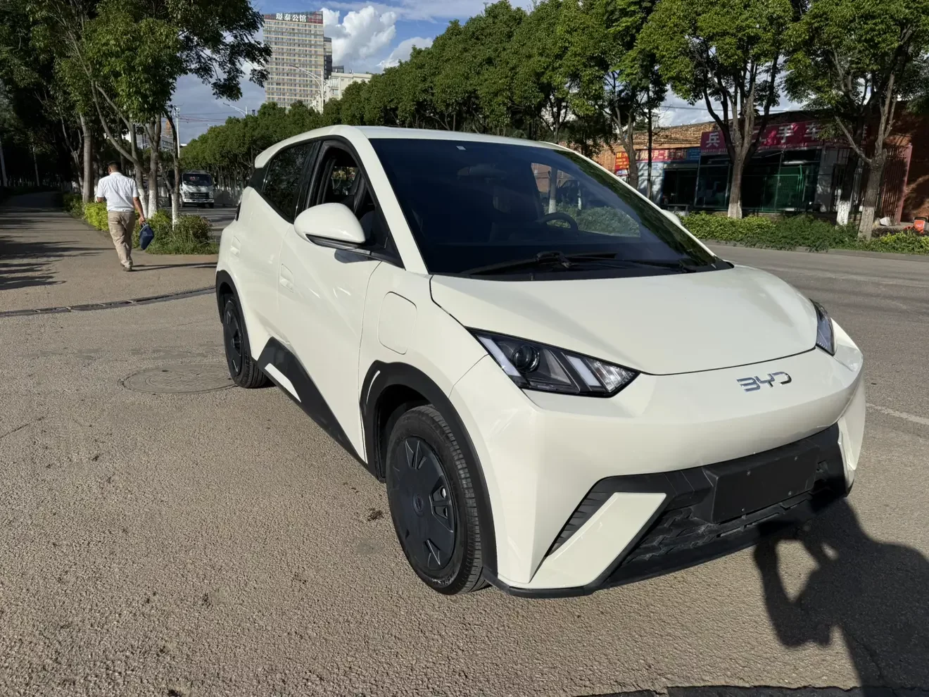 BYD seagull