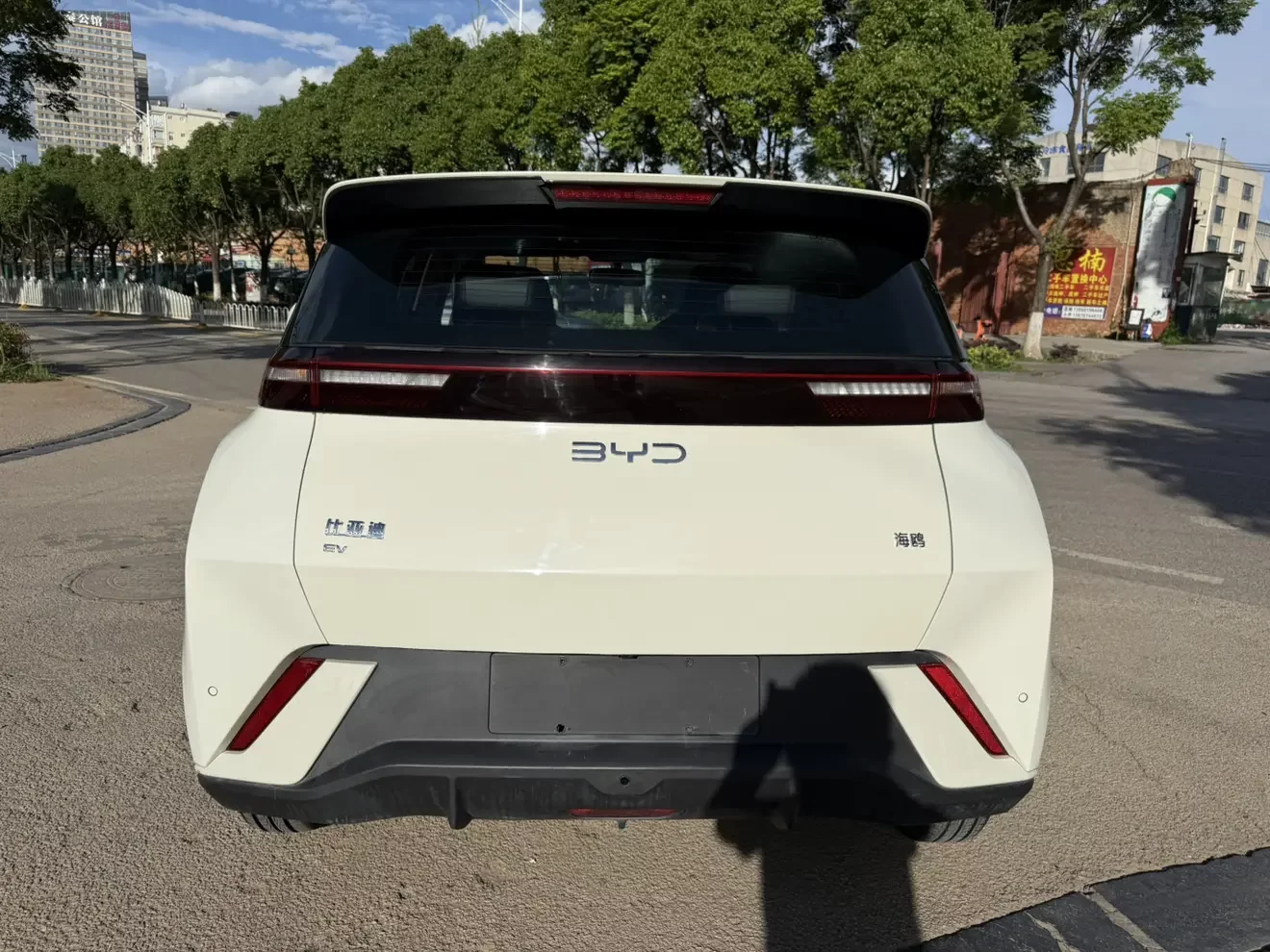BYD seagull
